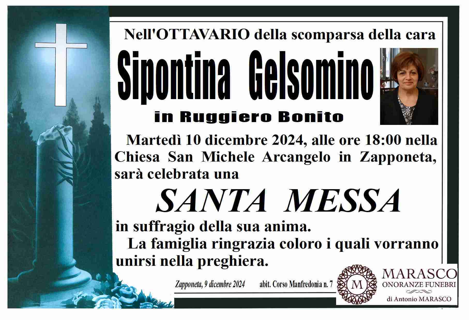 Sipontina Gelsomino