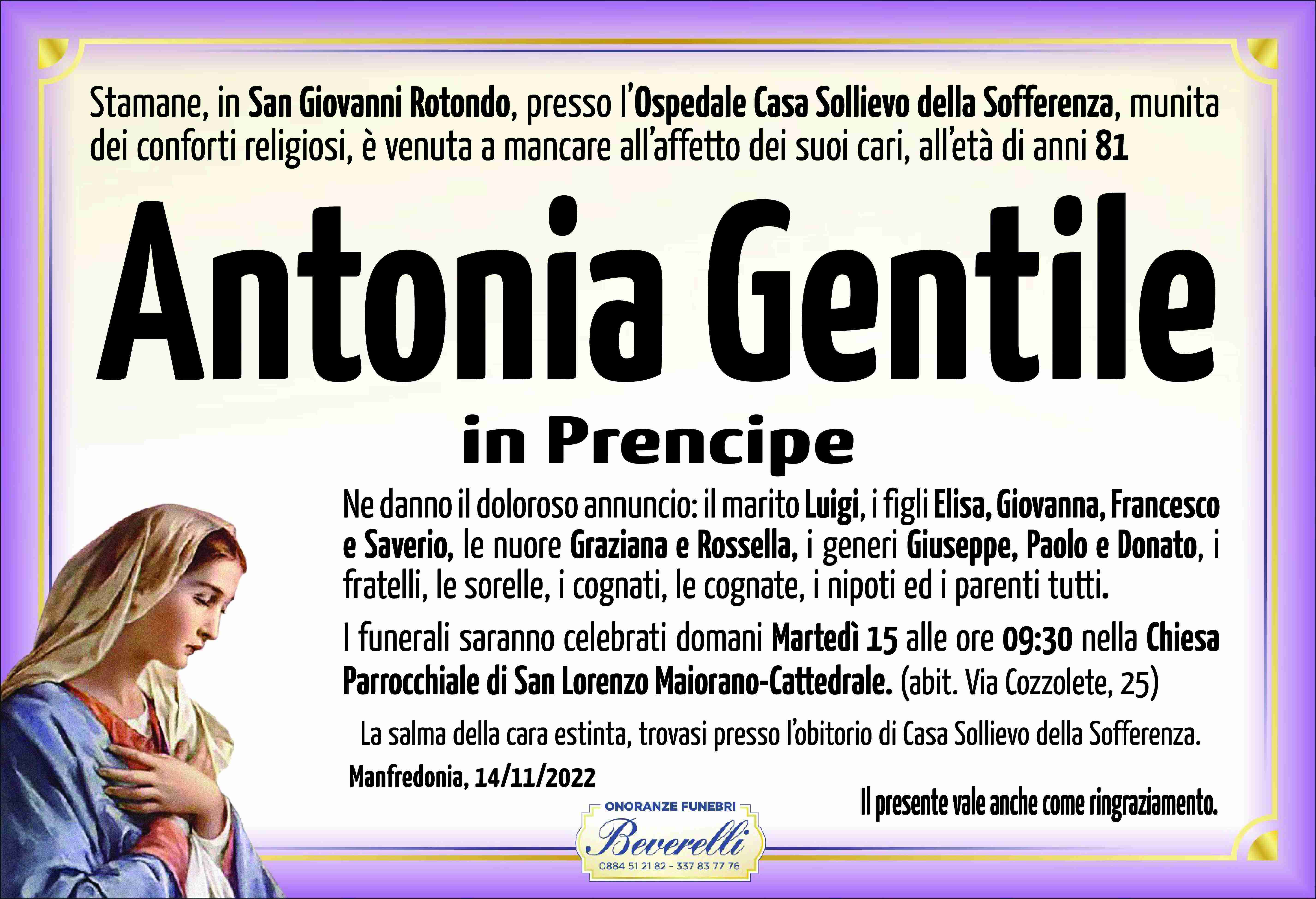 Antonia Gentile