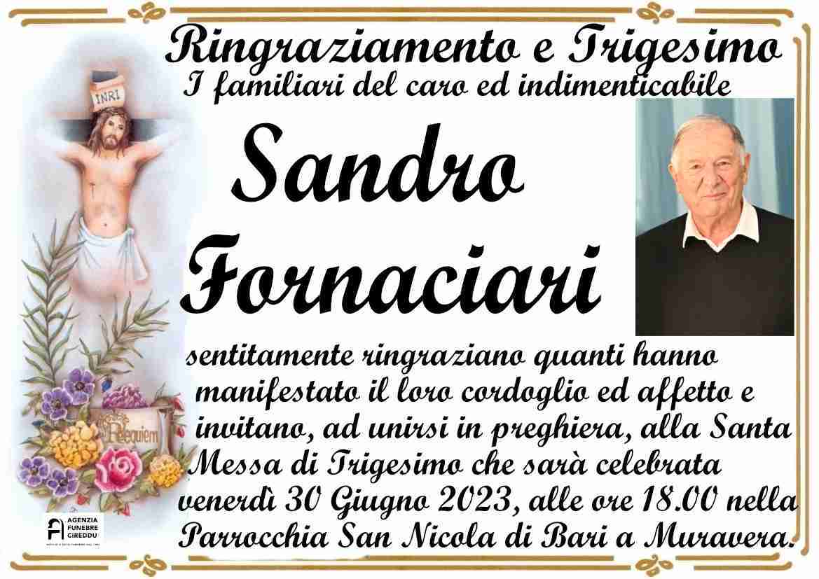 Sandro Fornaciari