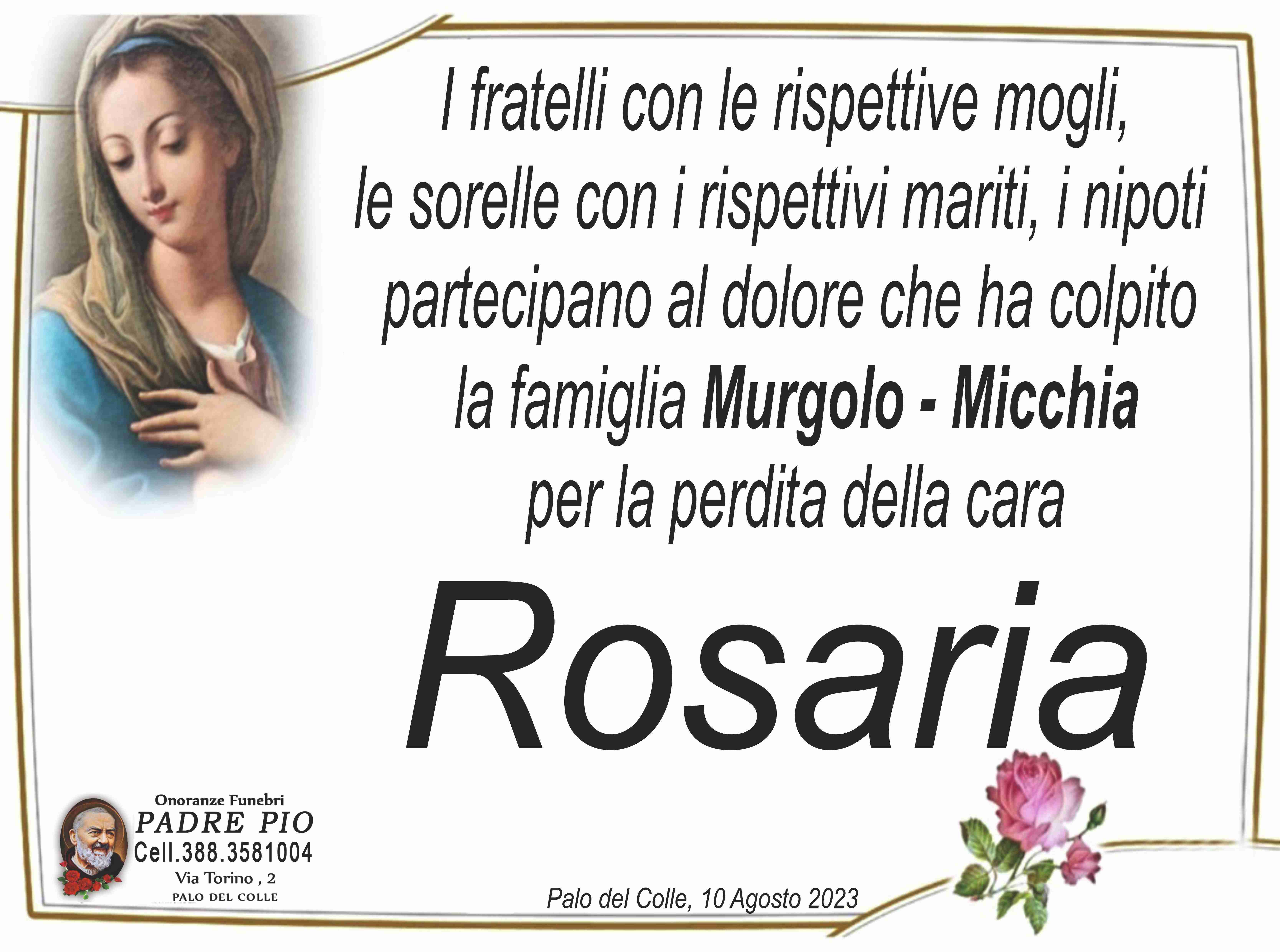 Rosaria Murgolo