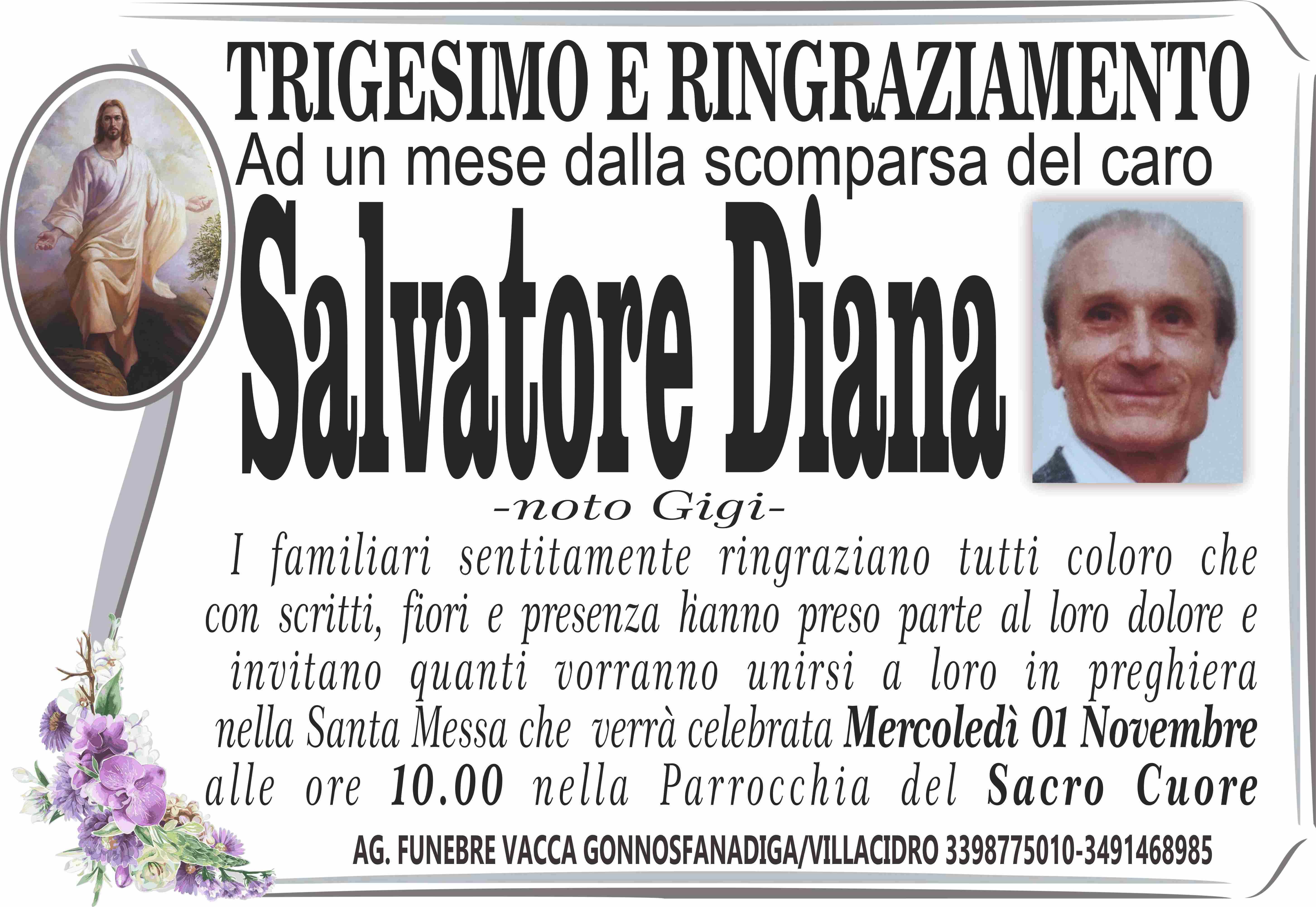 Diana Salvatore Angelo