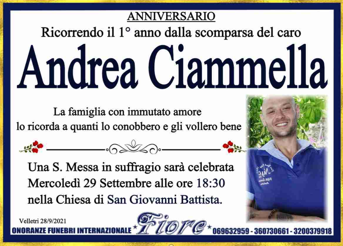 Andrea Ciammella