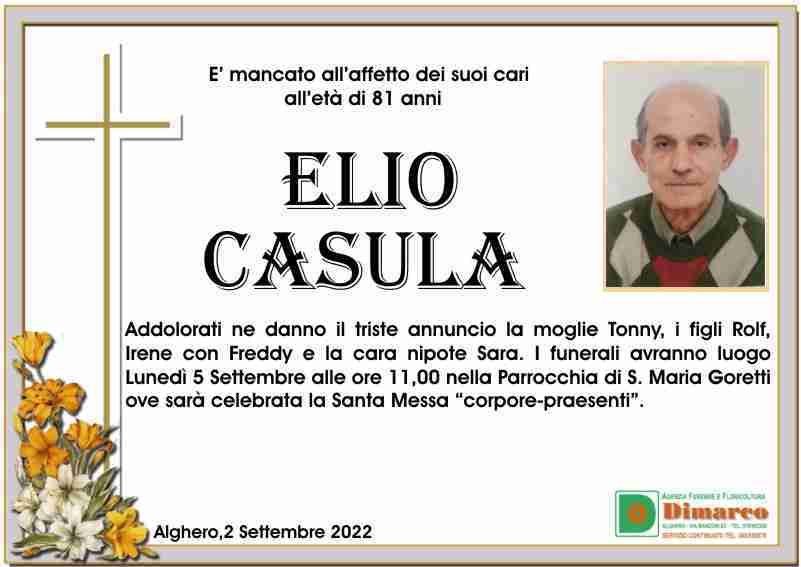 Elio Casula