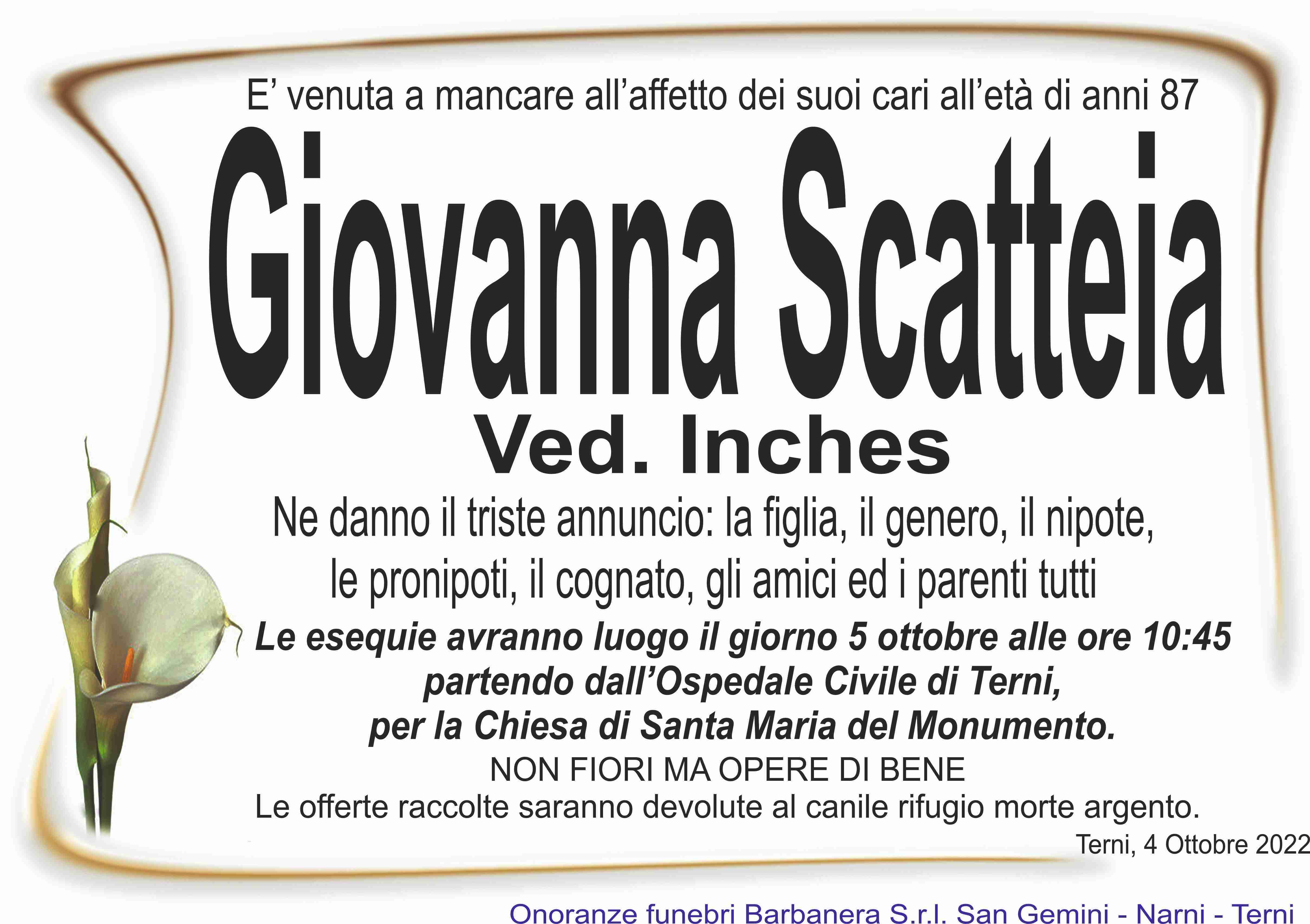Giovanna Scatteia