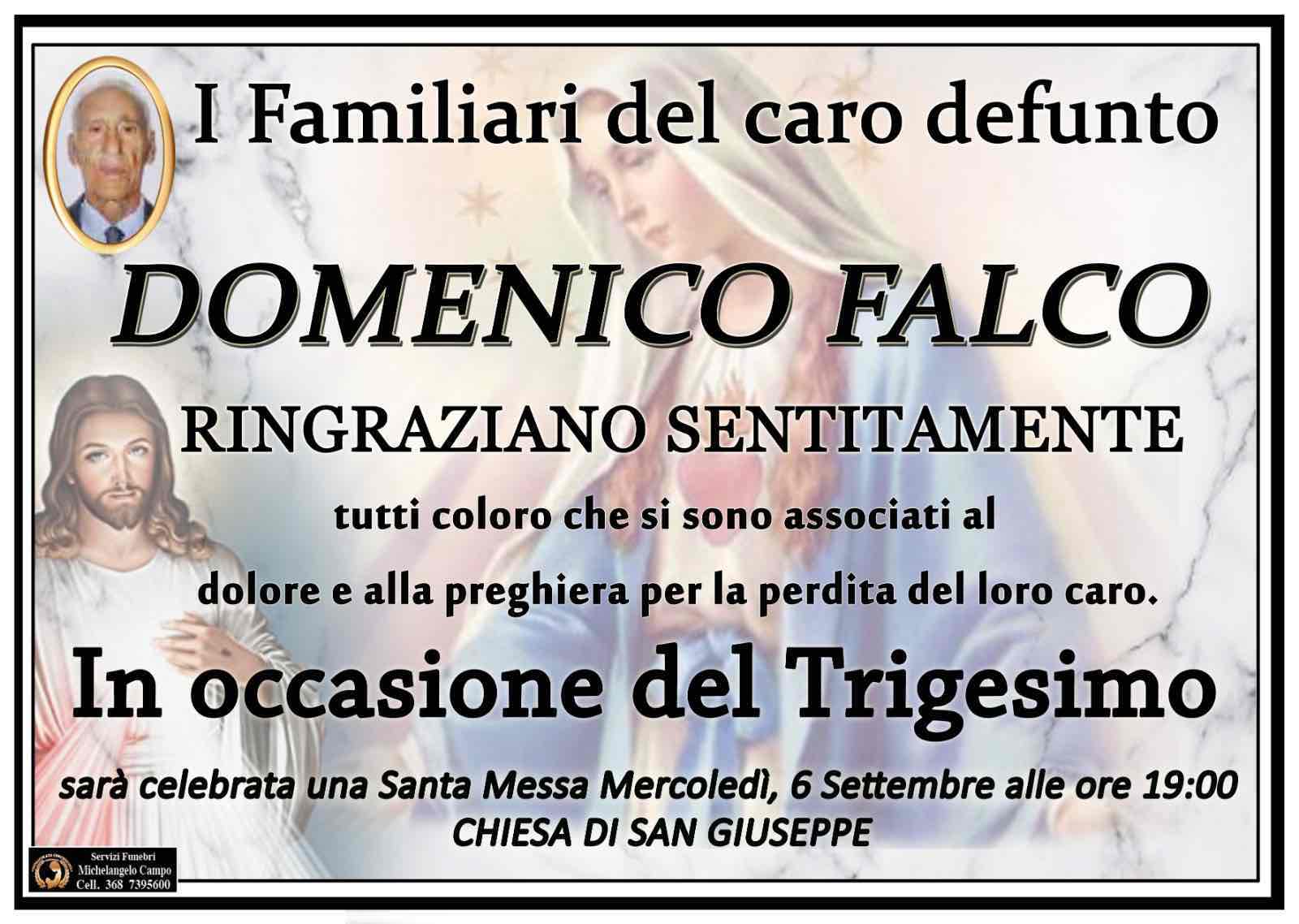 Falco Domenico