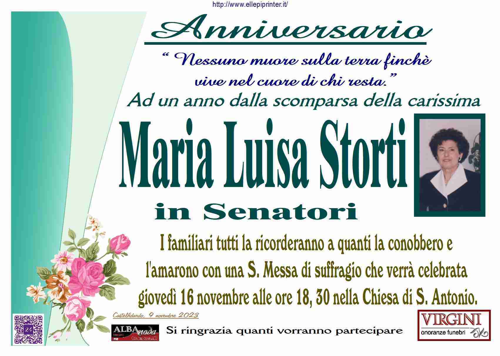 Maria Luisa Storti