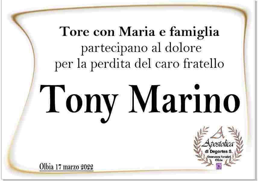 Tony Marino