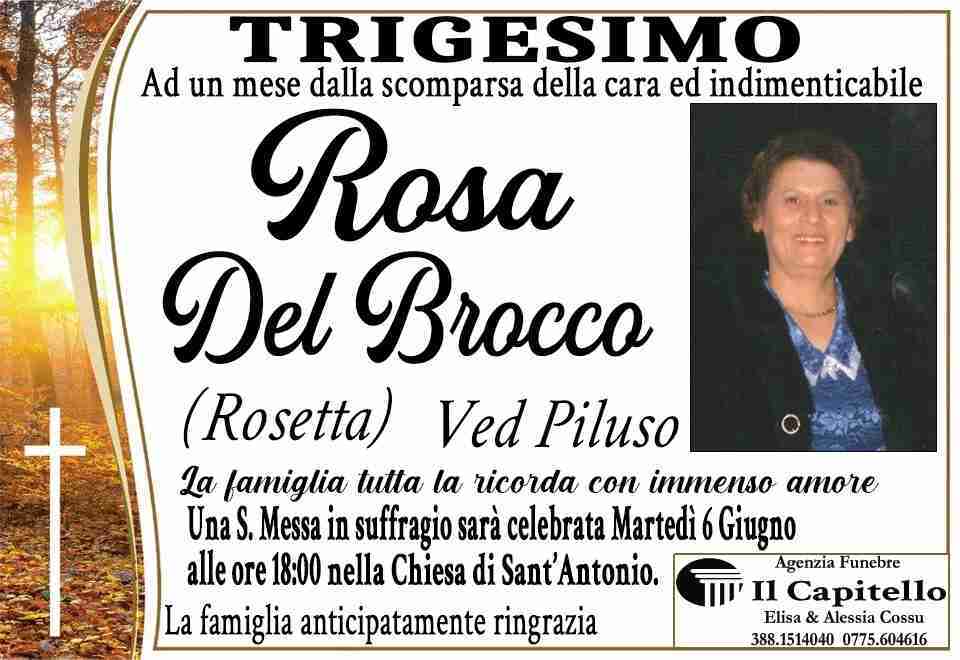 Rosa Del Brocco