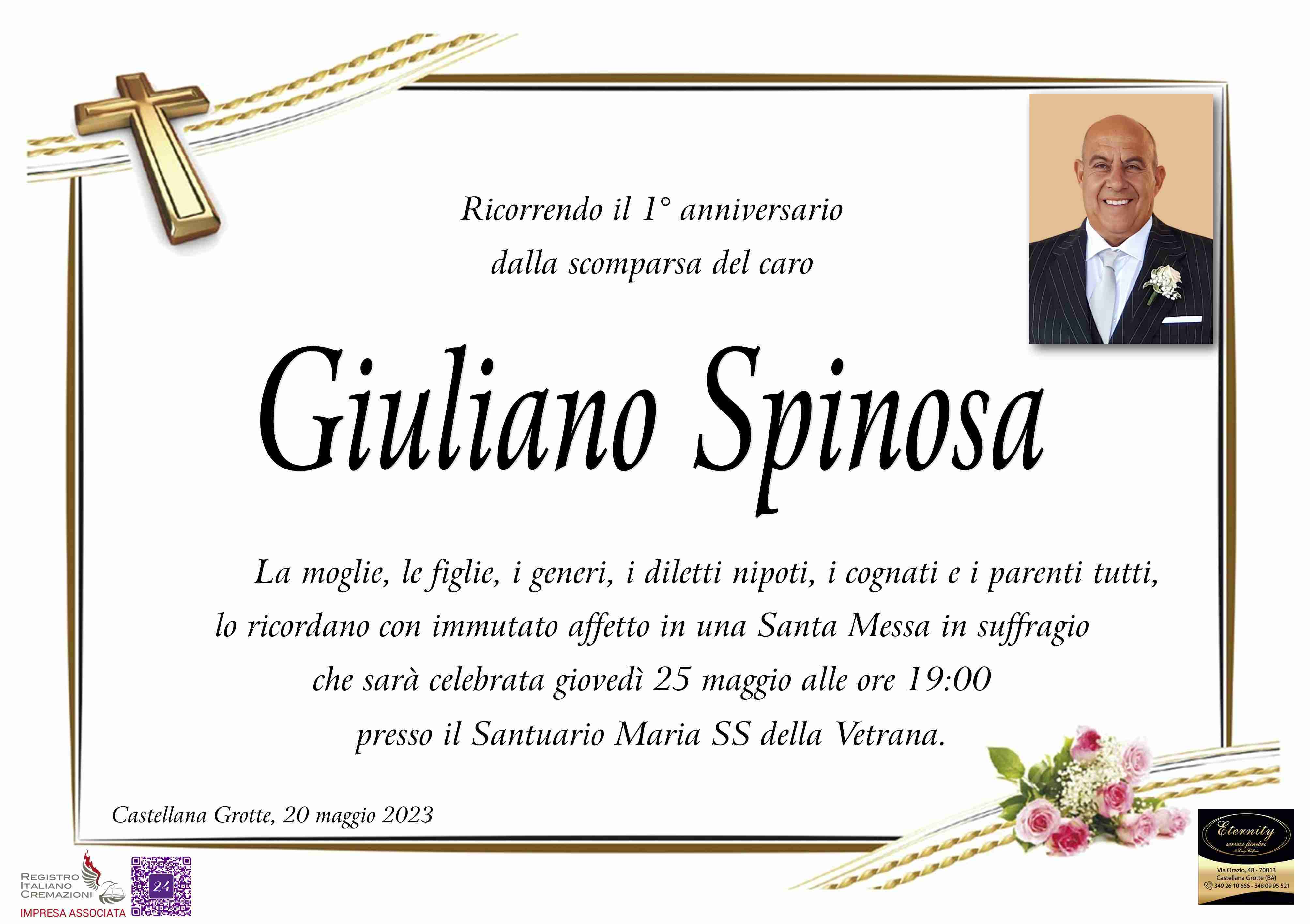 Giuliano Spinosa