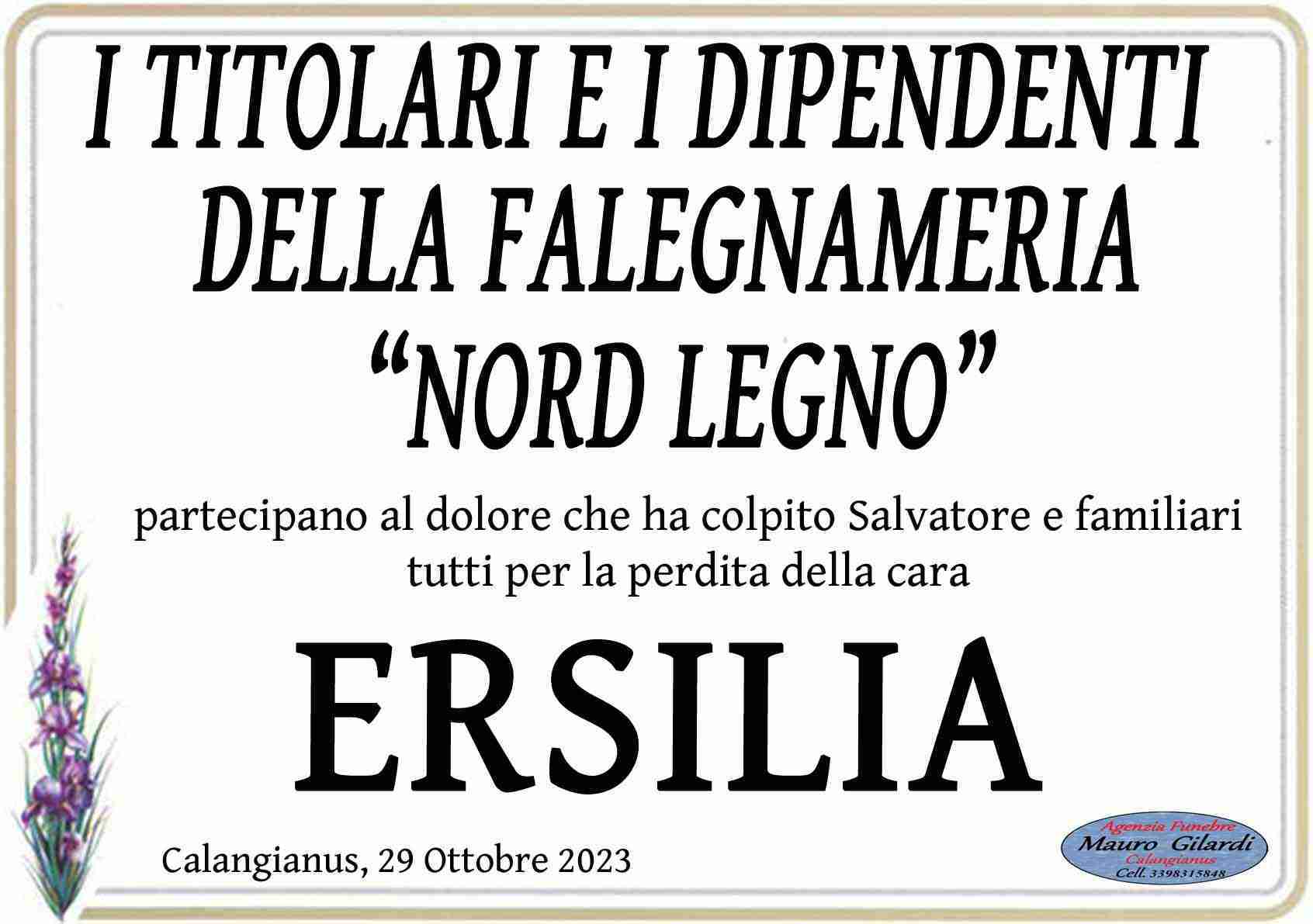 Ersilia Brigaglia