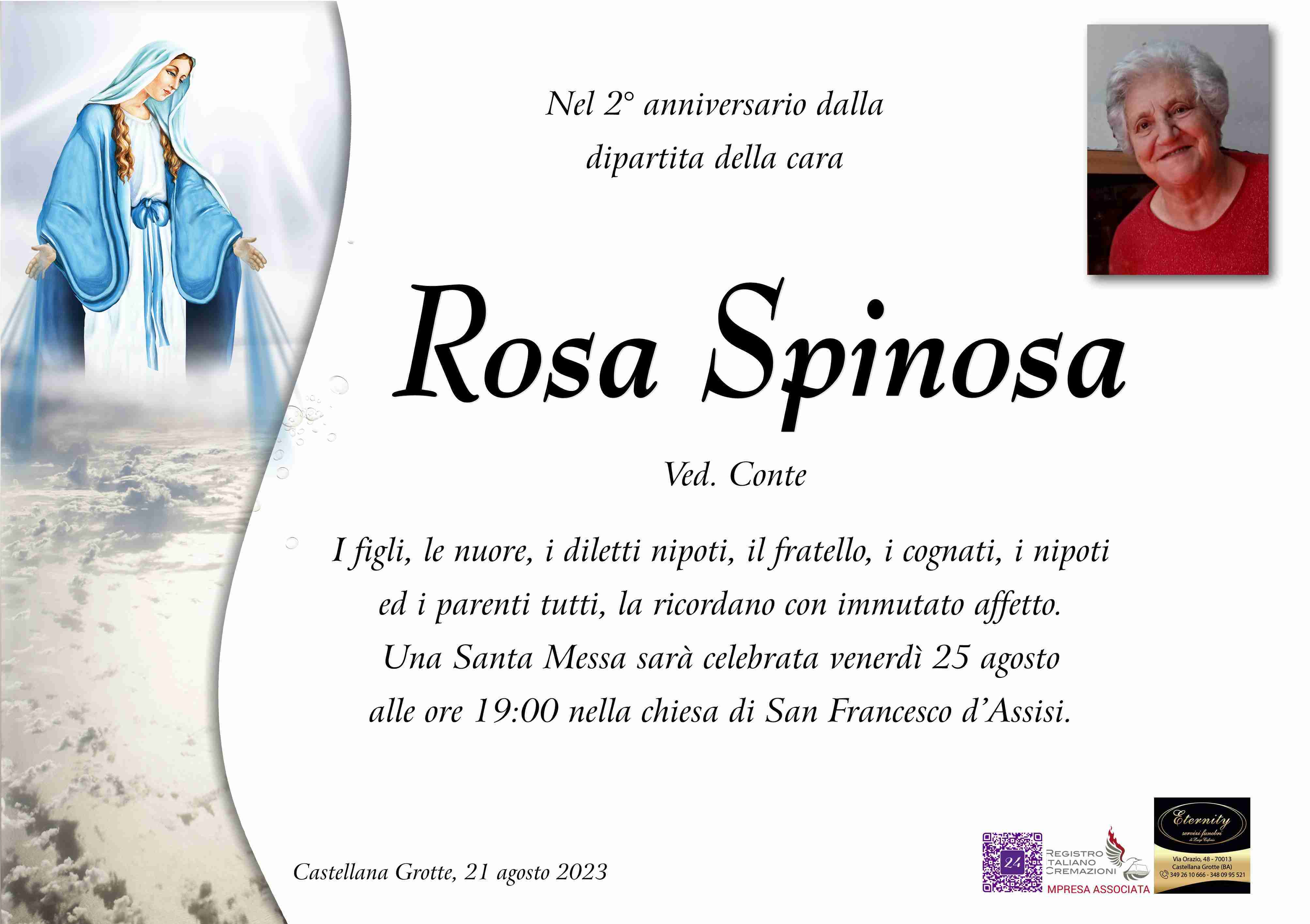 Rosa Spinosa