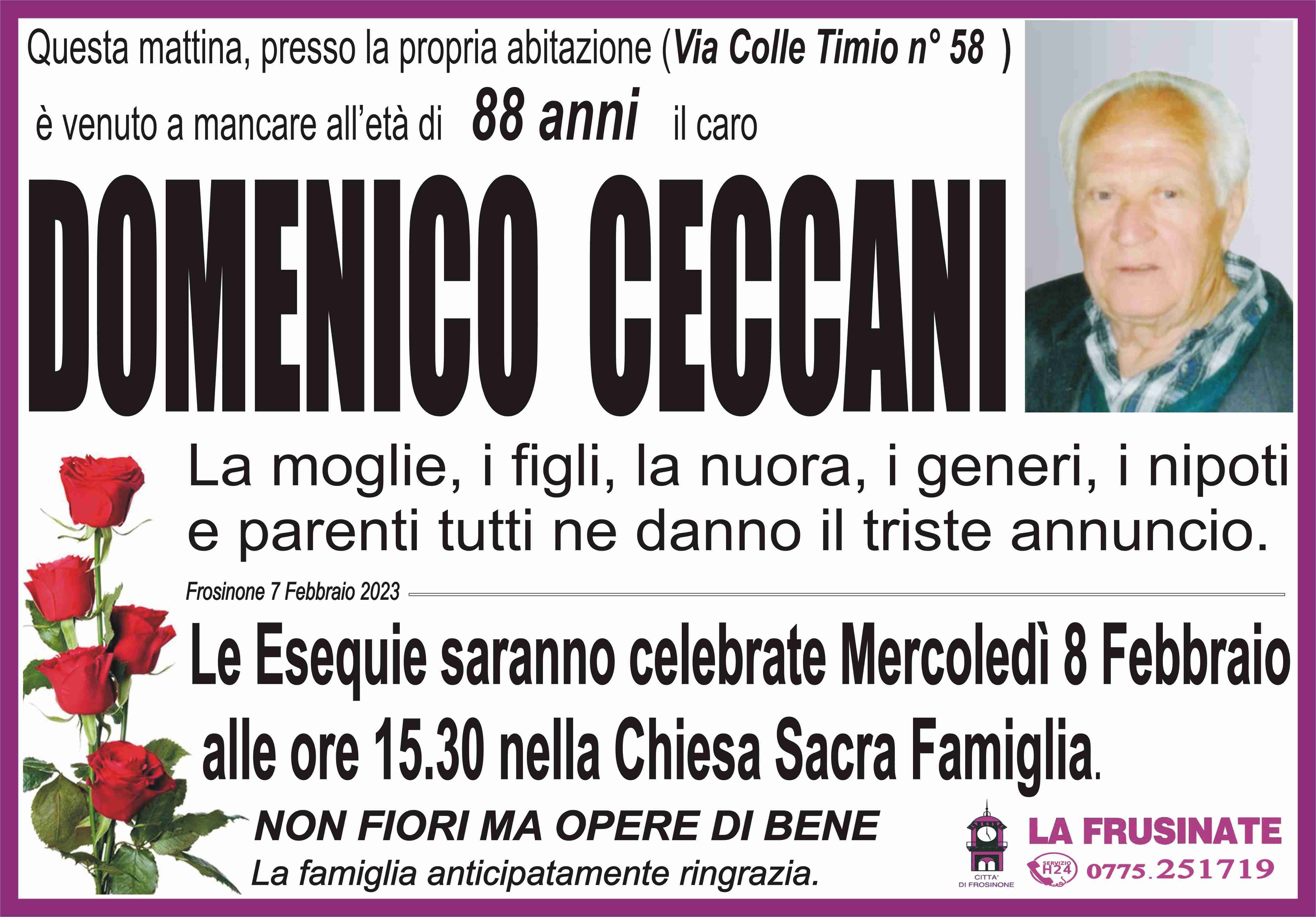 Domenico Ceccani