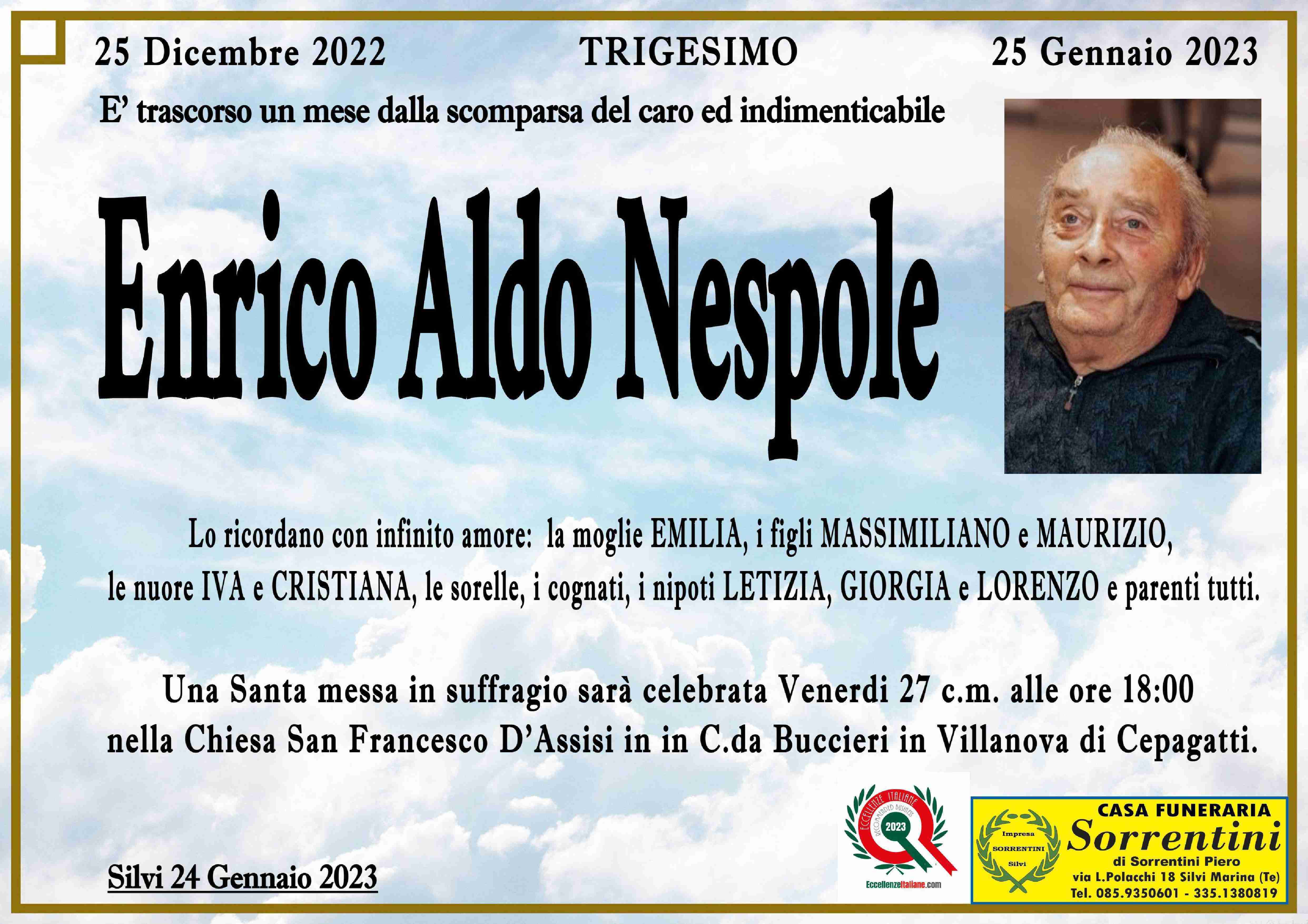 Enrico Aldo Nespole