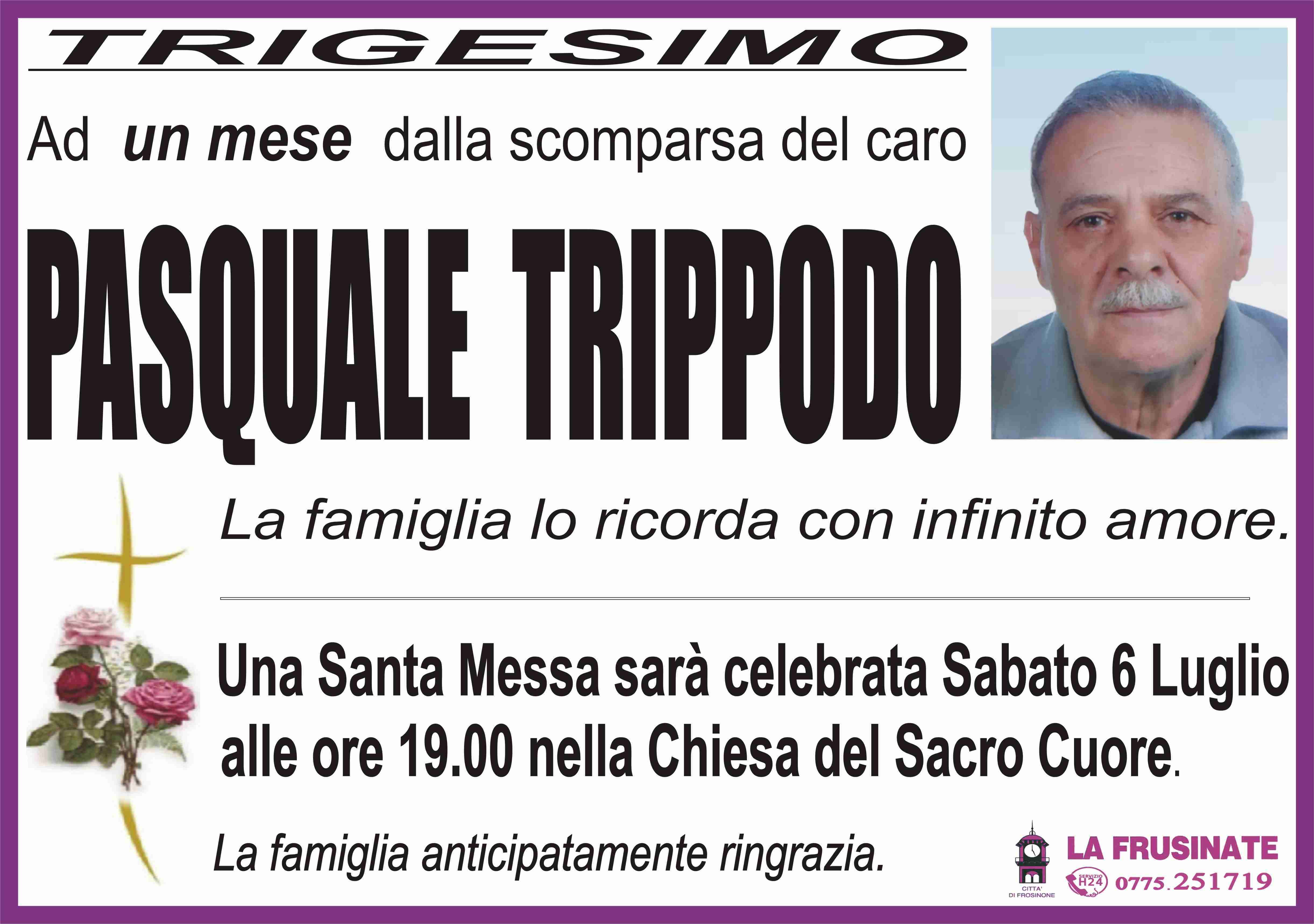 Pasquale Trippodo