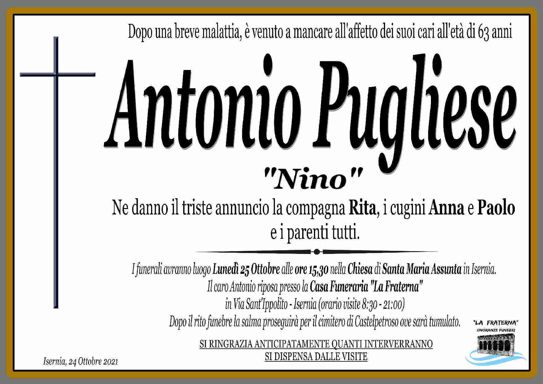 Antonio Pugliese