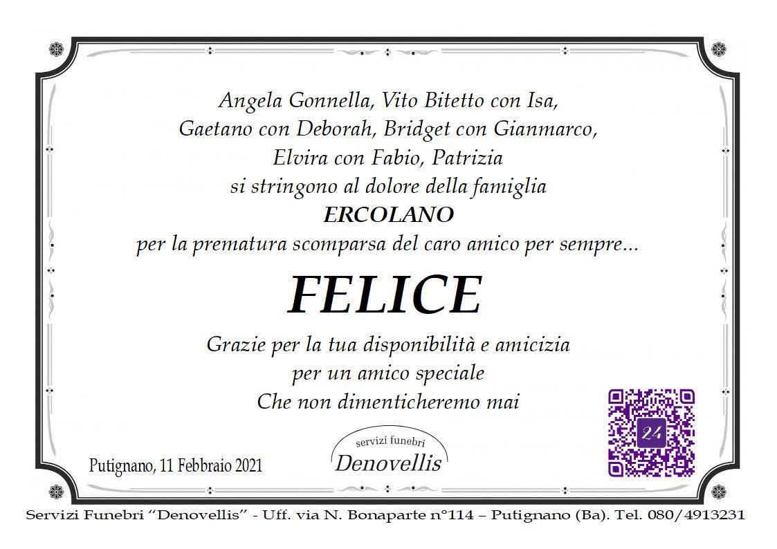 Felice Ercolano (P4)