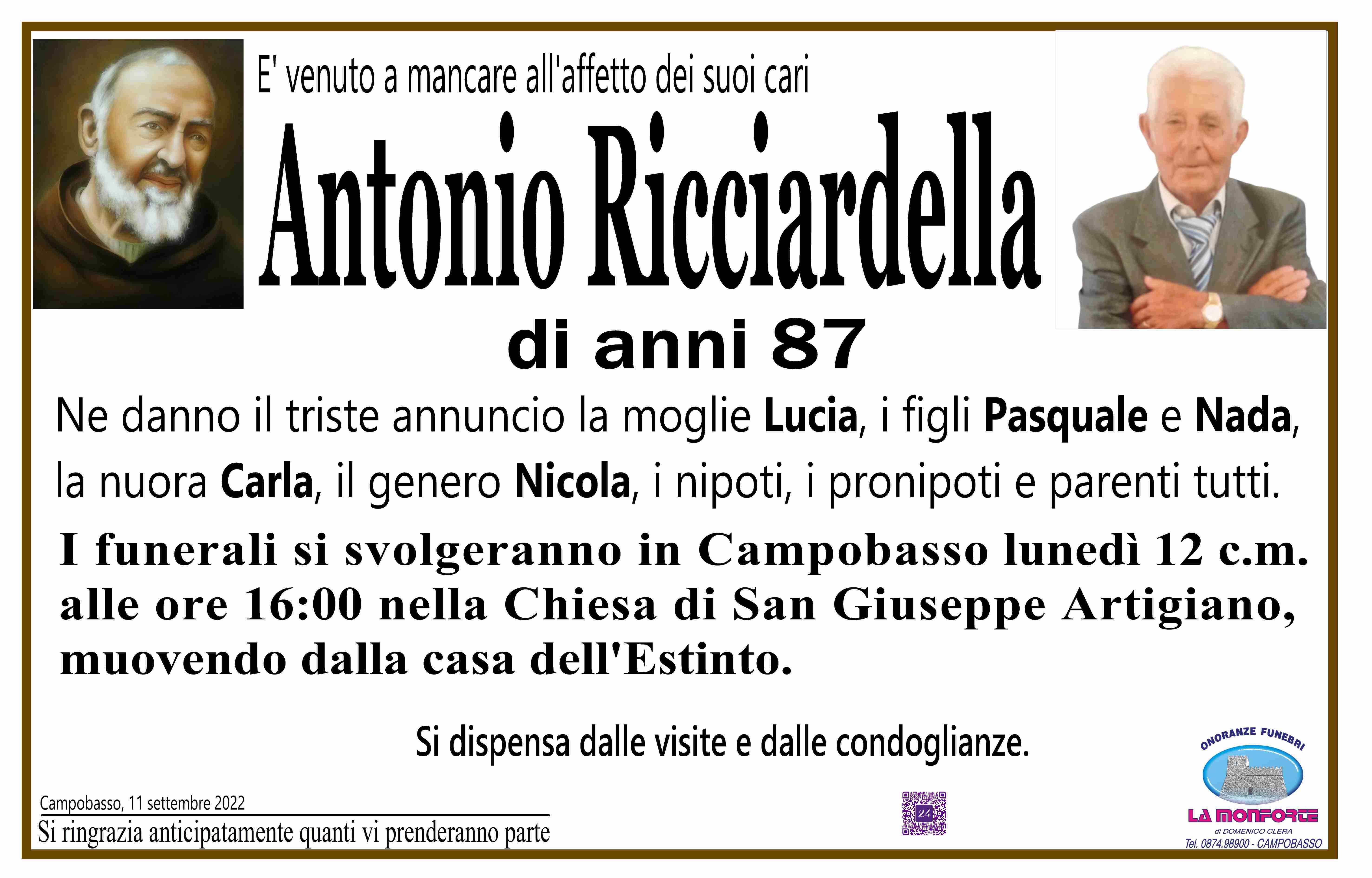 Antonio Ricciardella