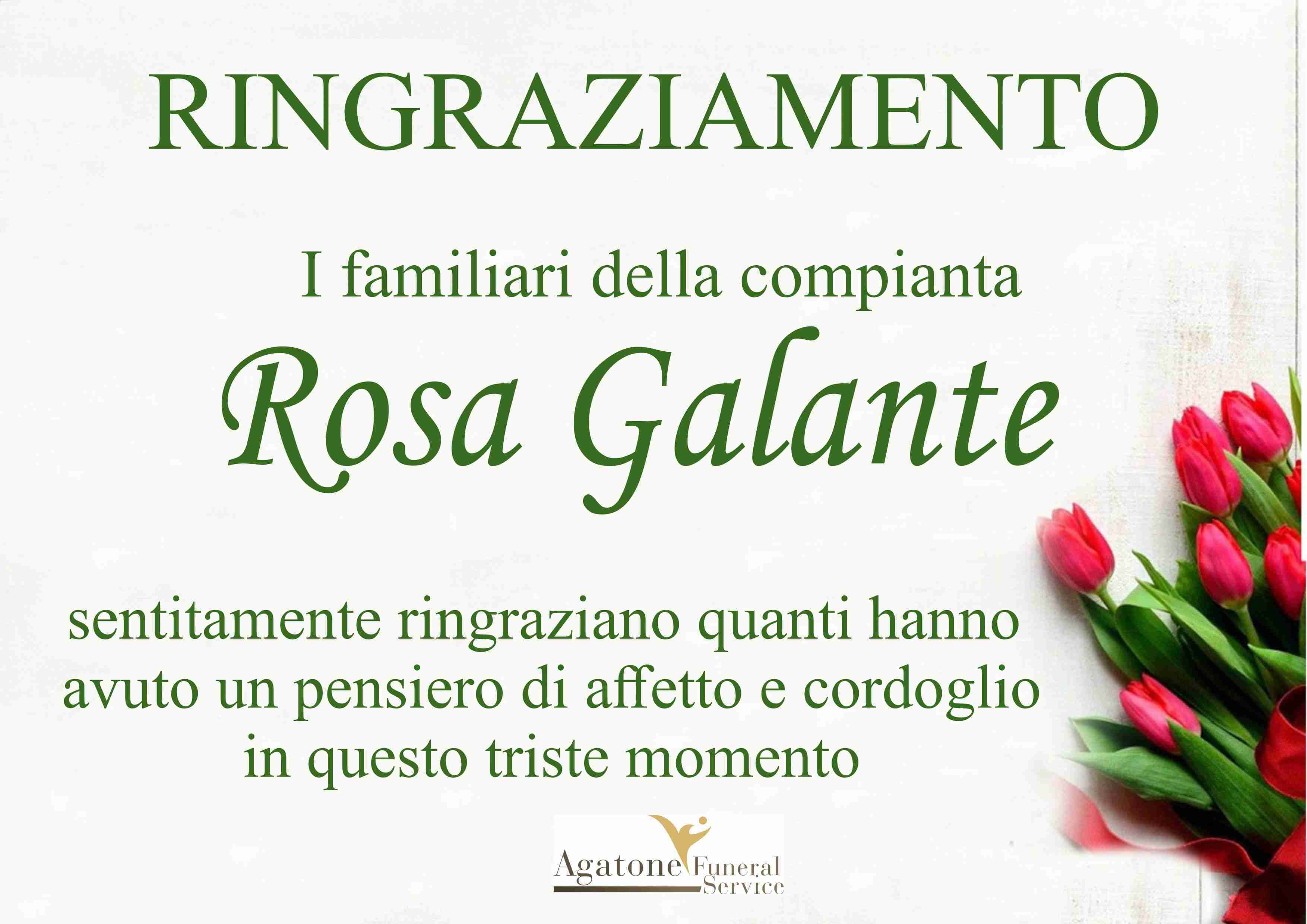 Rosa Galante