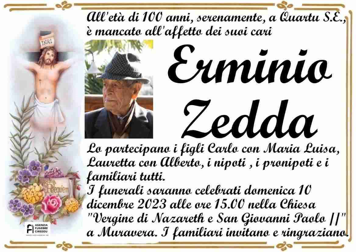Erminio Zedda