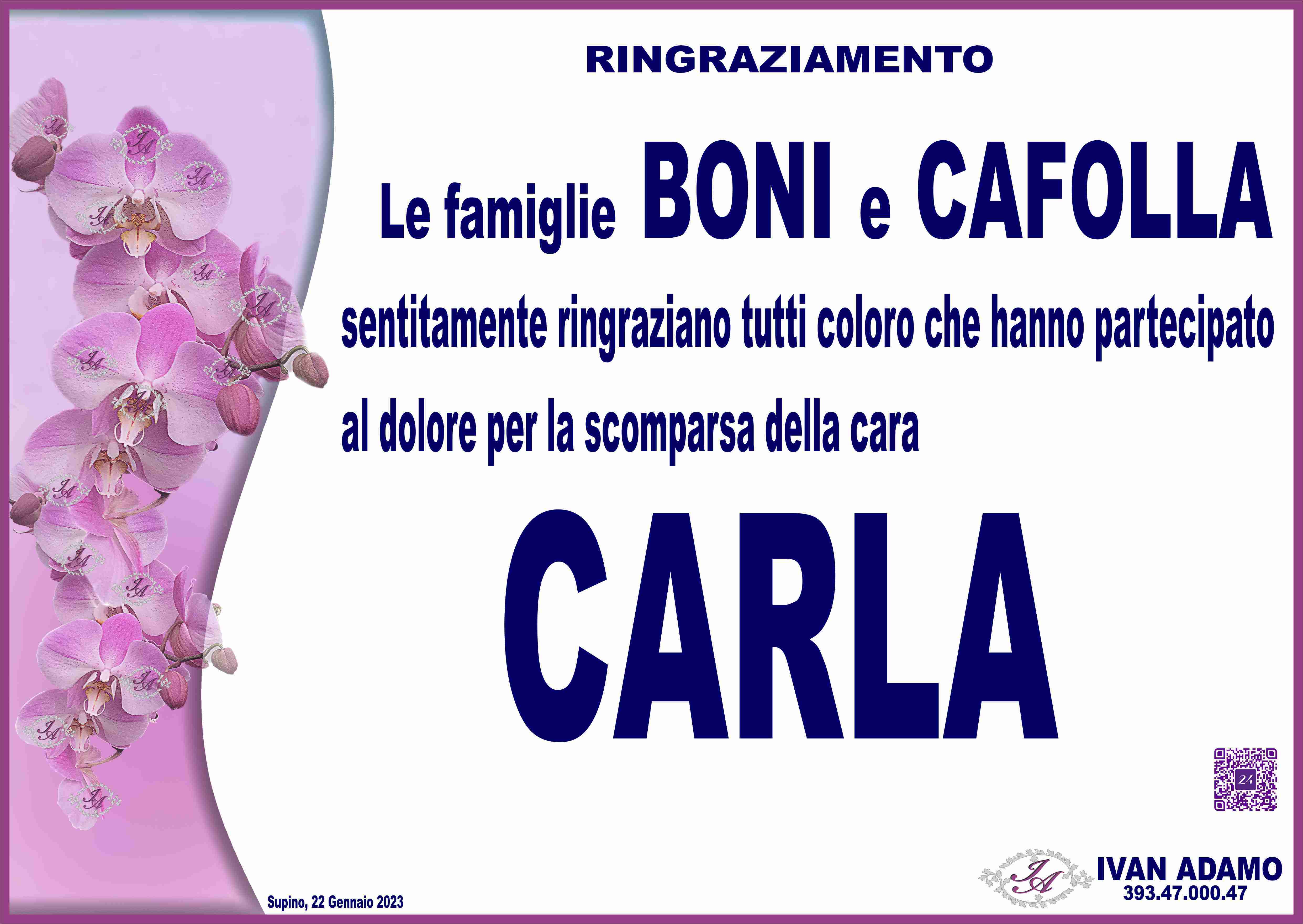 Carla Cafolla