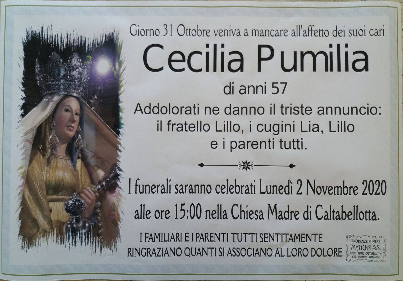 Cecilia Pumilia