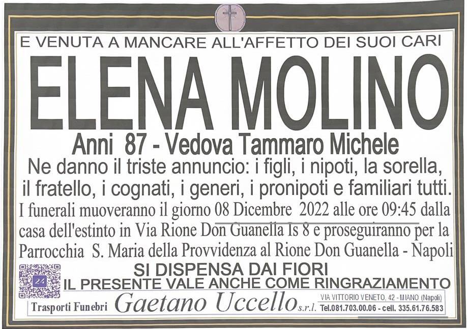 Elena Molino