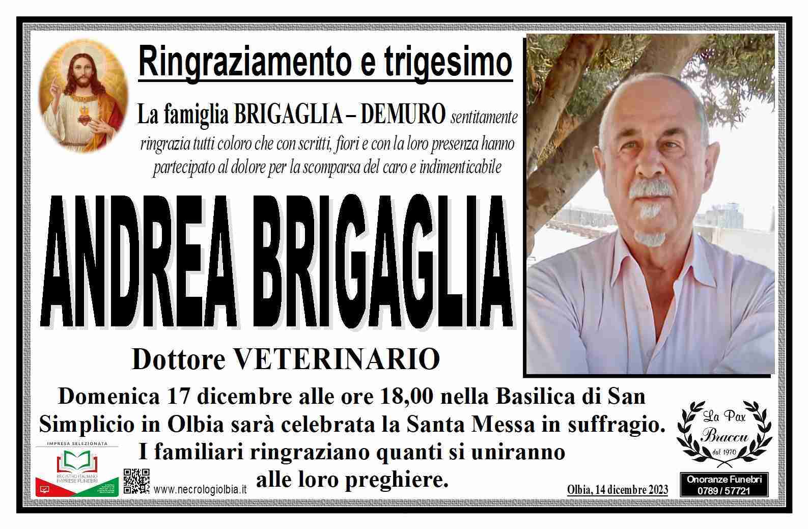 Andrea Brigaglia