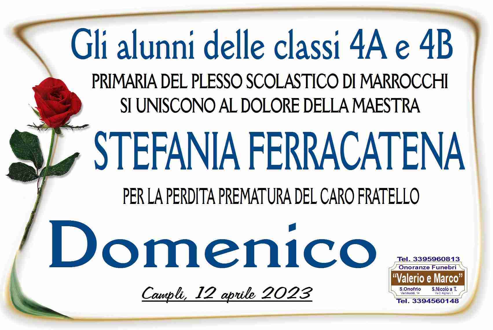 Domenico Ferracatena