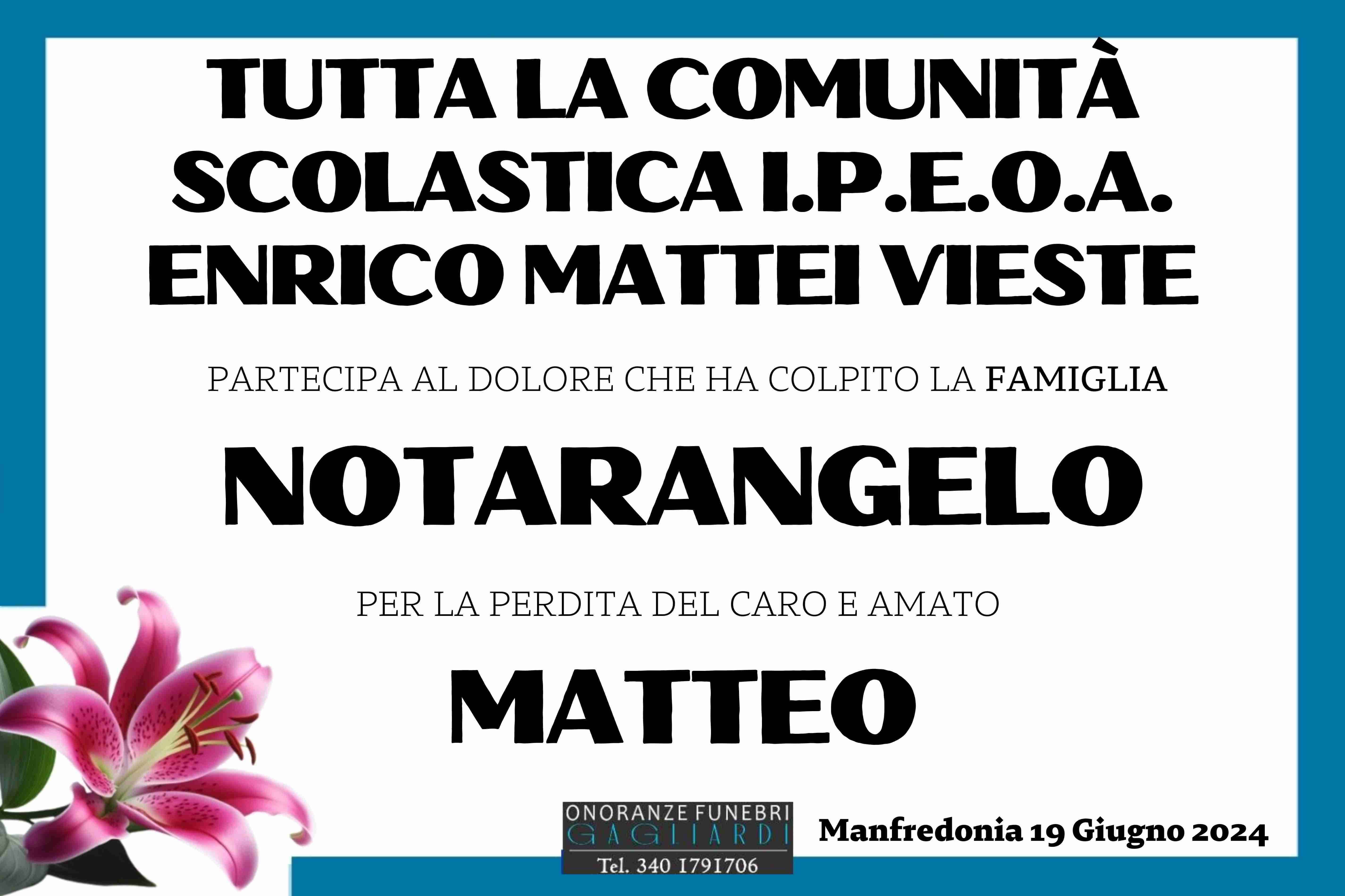 Avv. Matteo Notarangelo