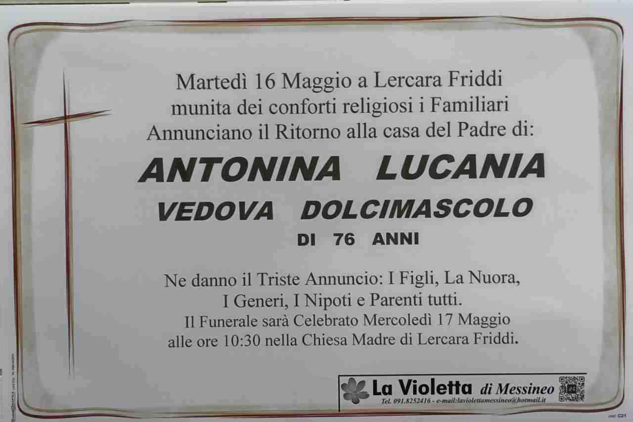 Lucania Antonina