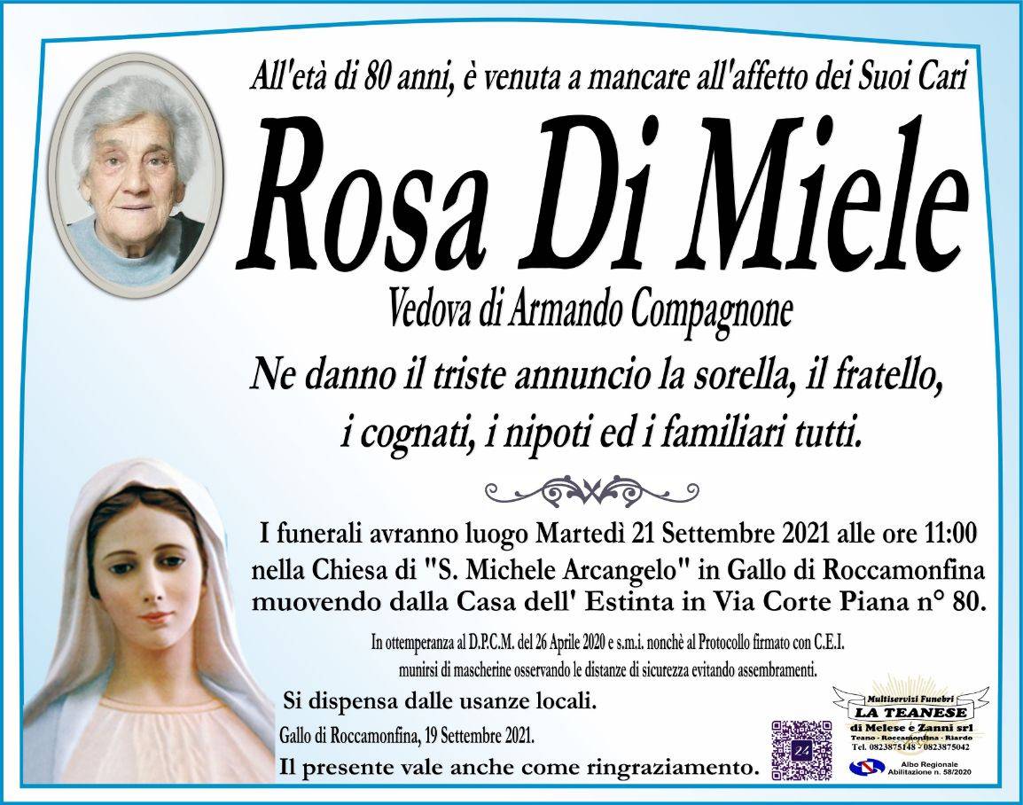 Rosa Di Miele