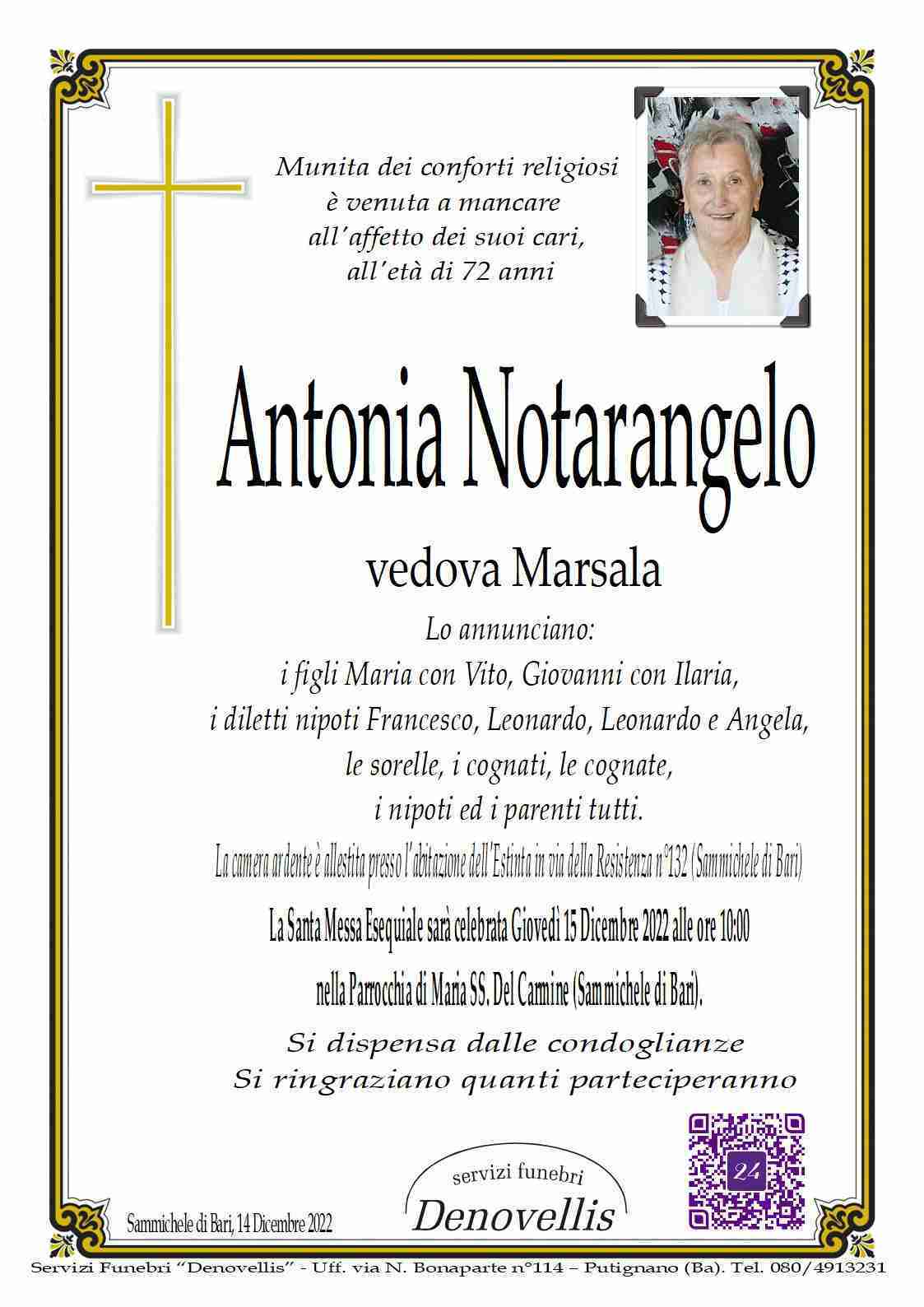 Antonia Notarangelo