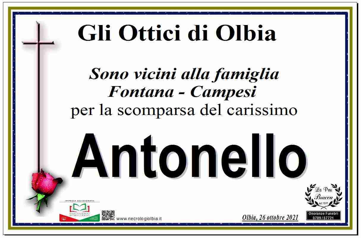 Antonello Fontana