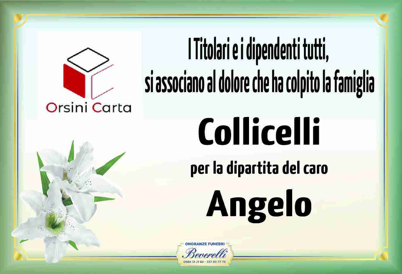 Angelo Collicelli