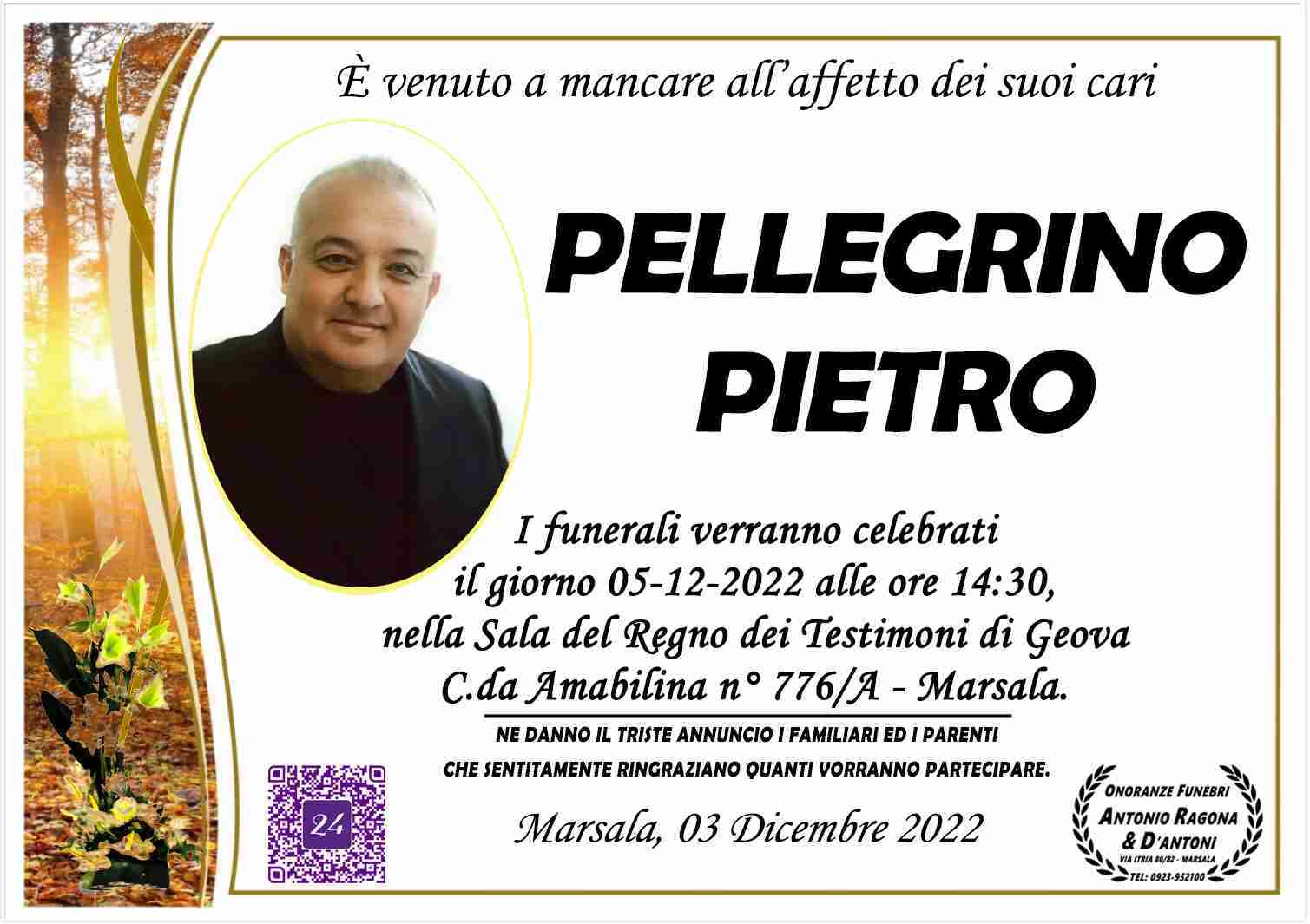 Pietro Pellegrino