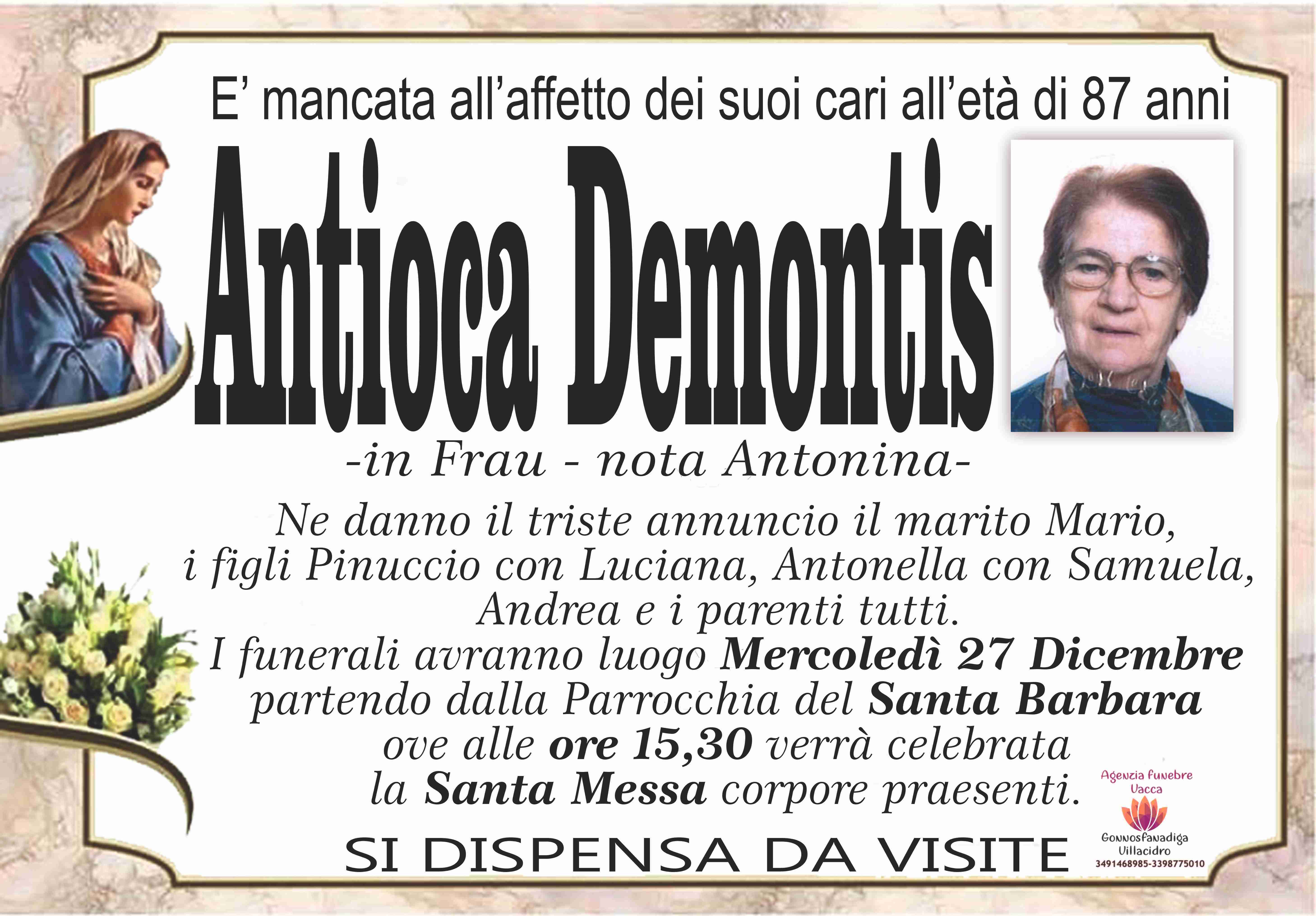 Antioca Demontis