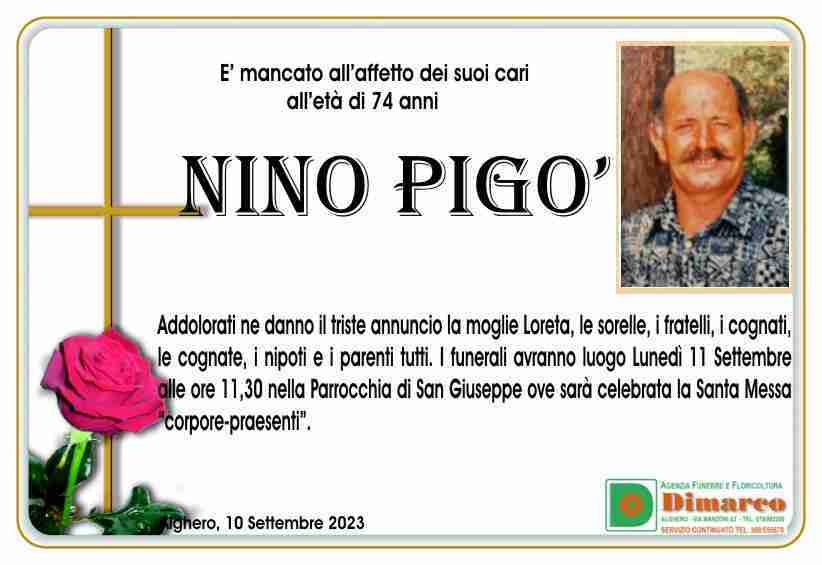 Nino Pigò