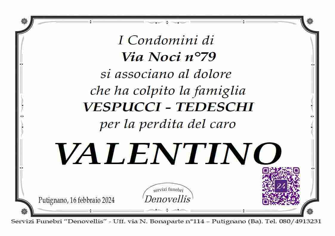 Valentino Vespucci
