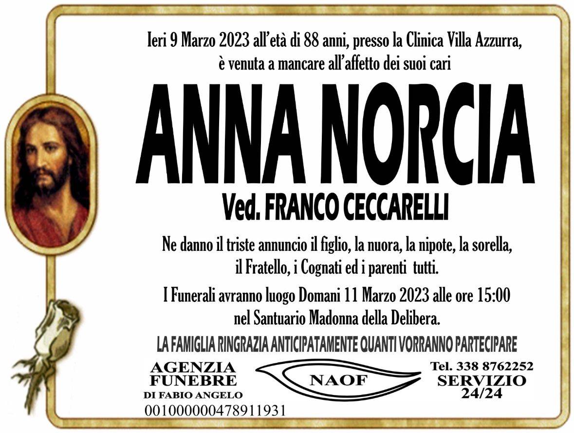 Anna Norcia