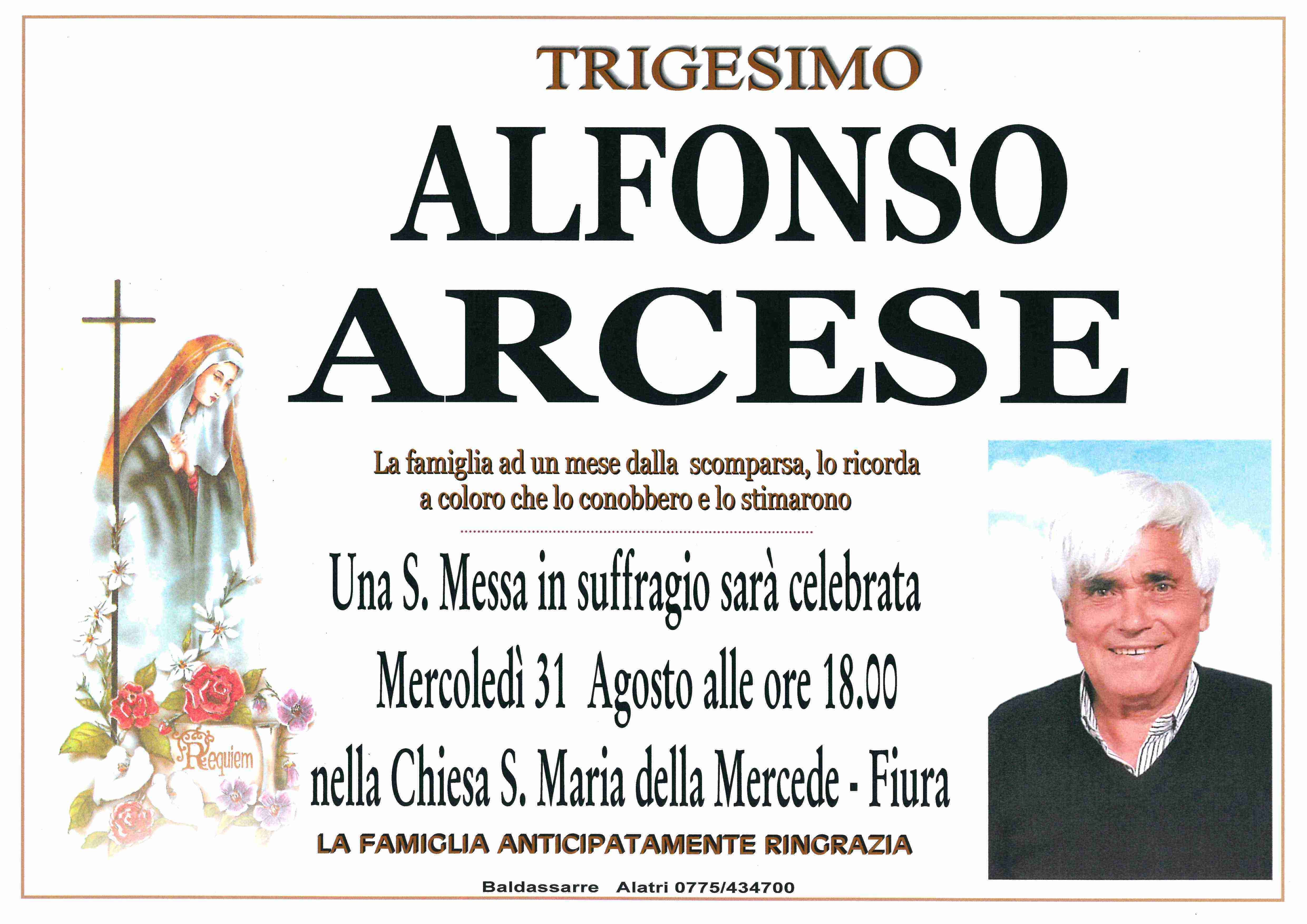 Alfonso Arcese