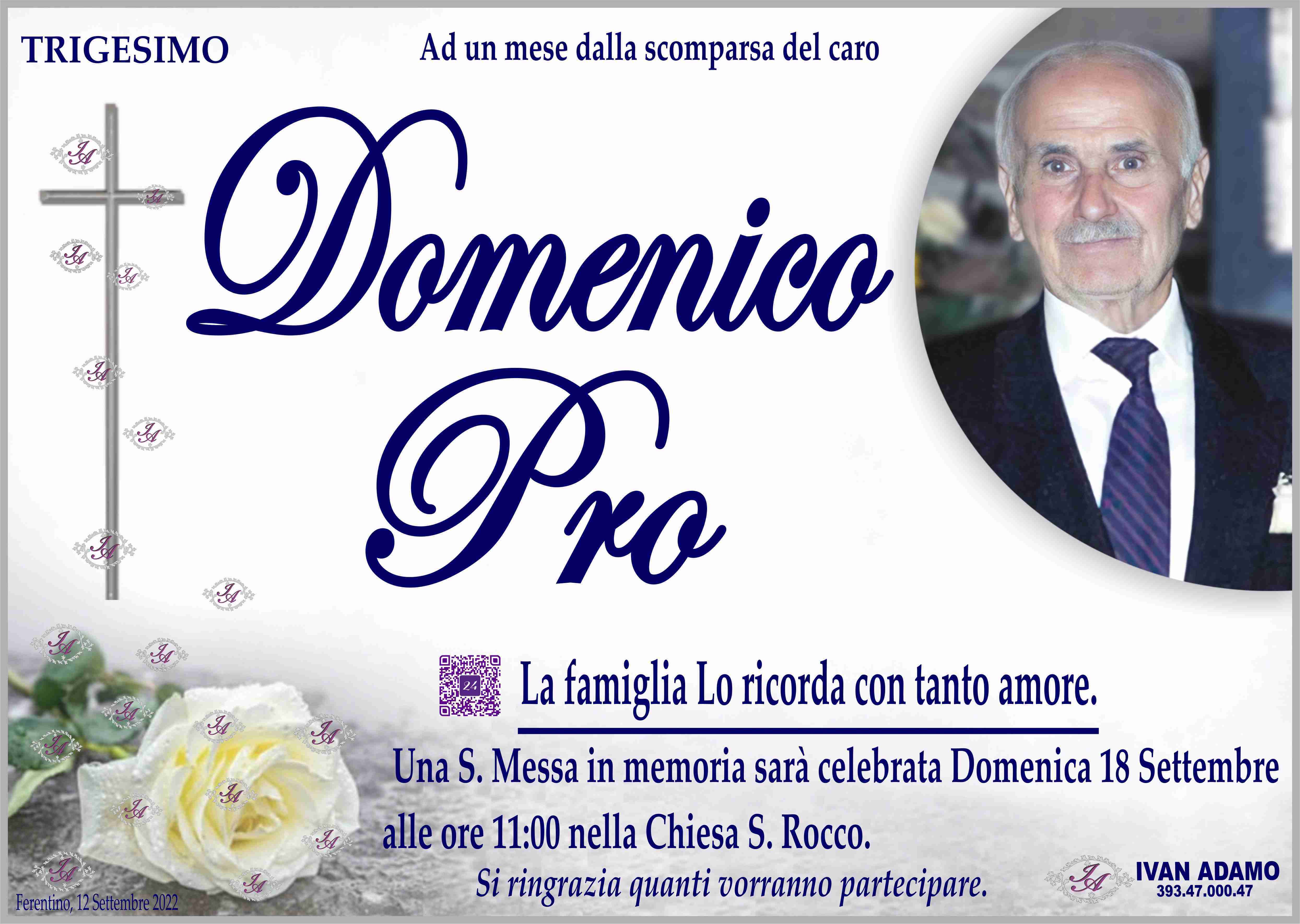 Domenico Pro