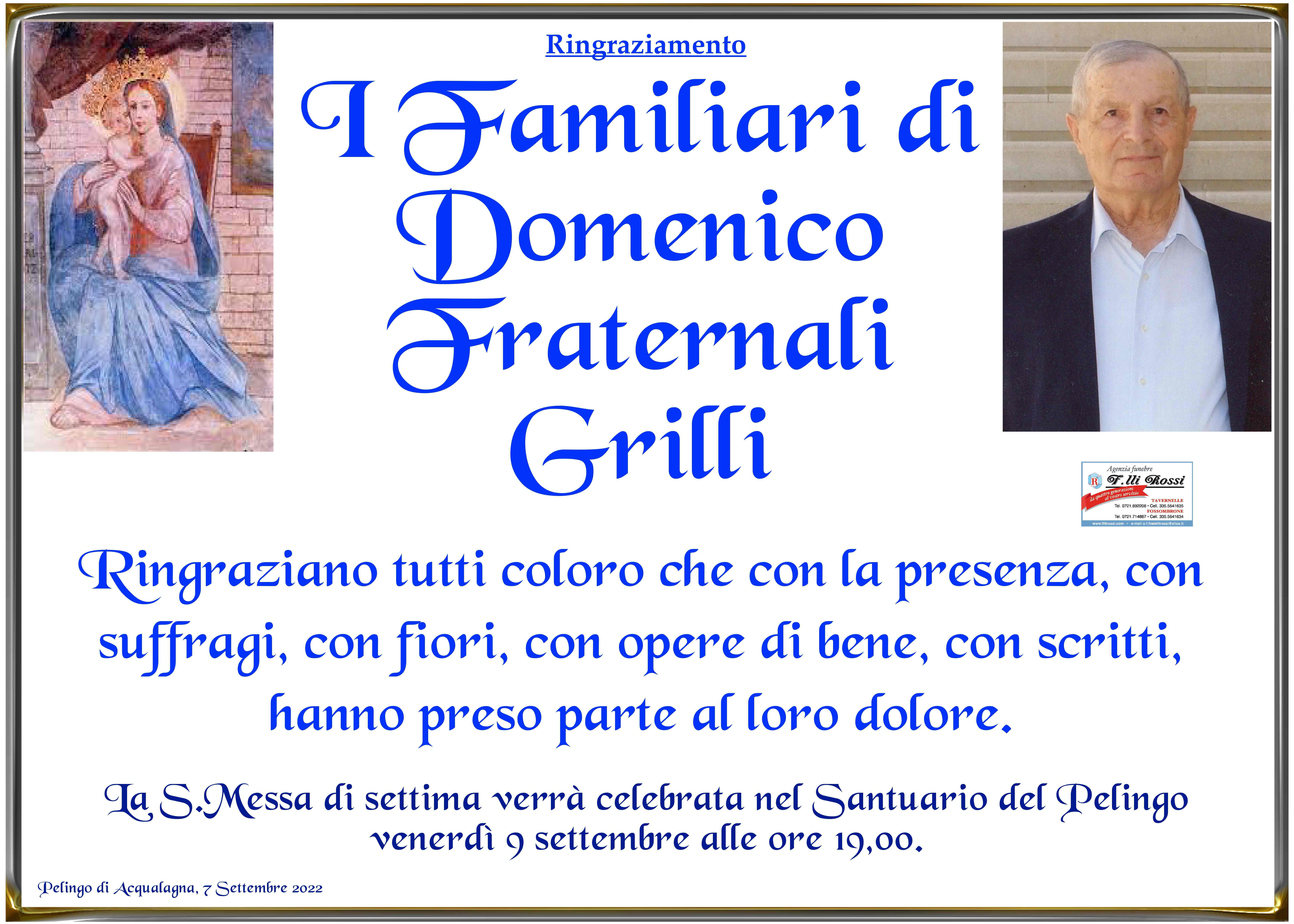 Domenico Fraternali Grilli