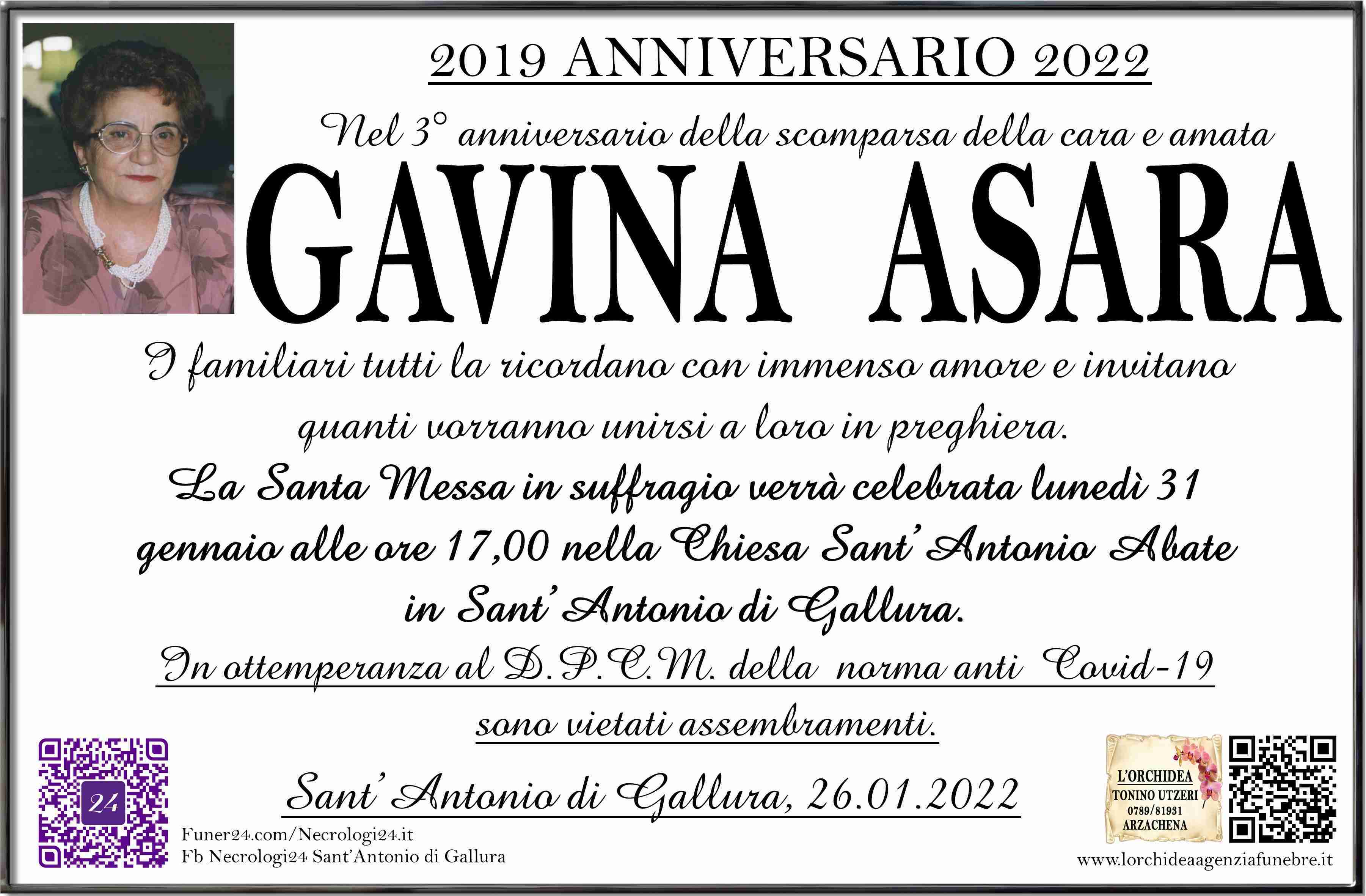 Gavina Asara