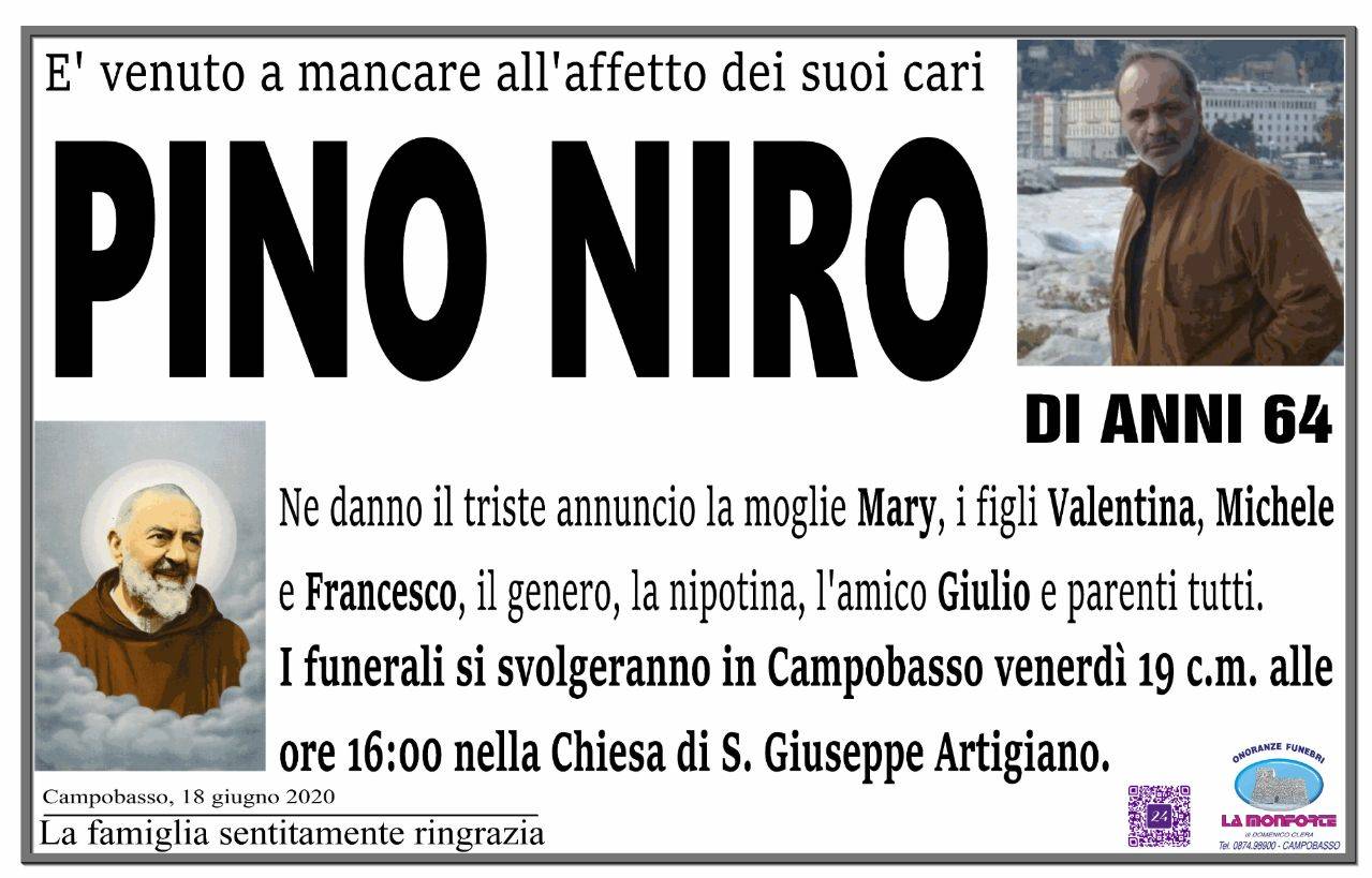 Pino Niro