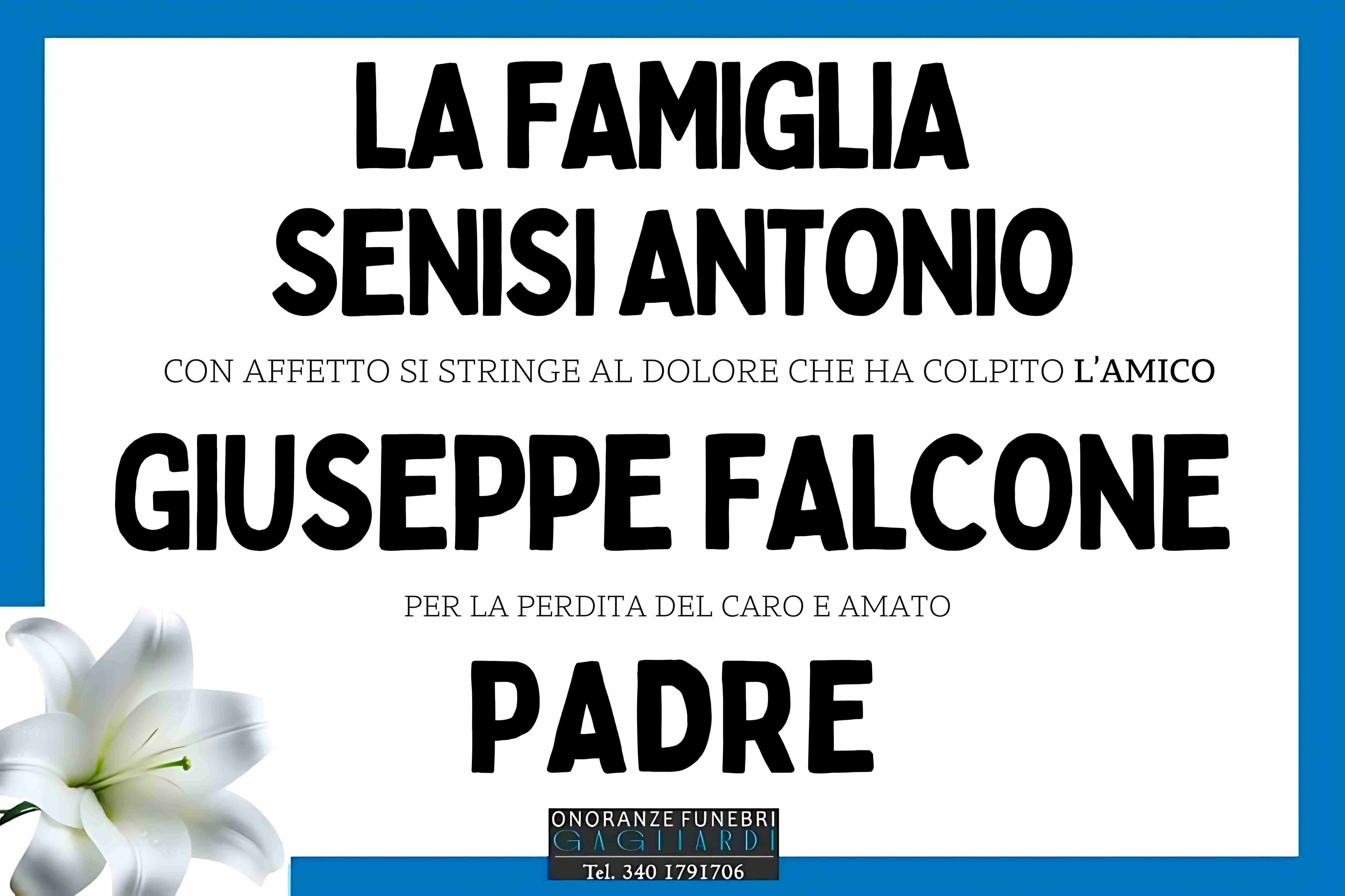 Famiglia Falcone