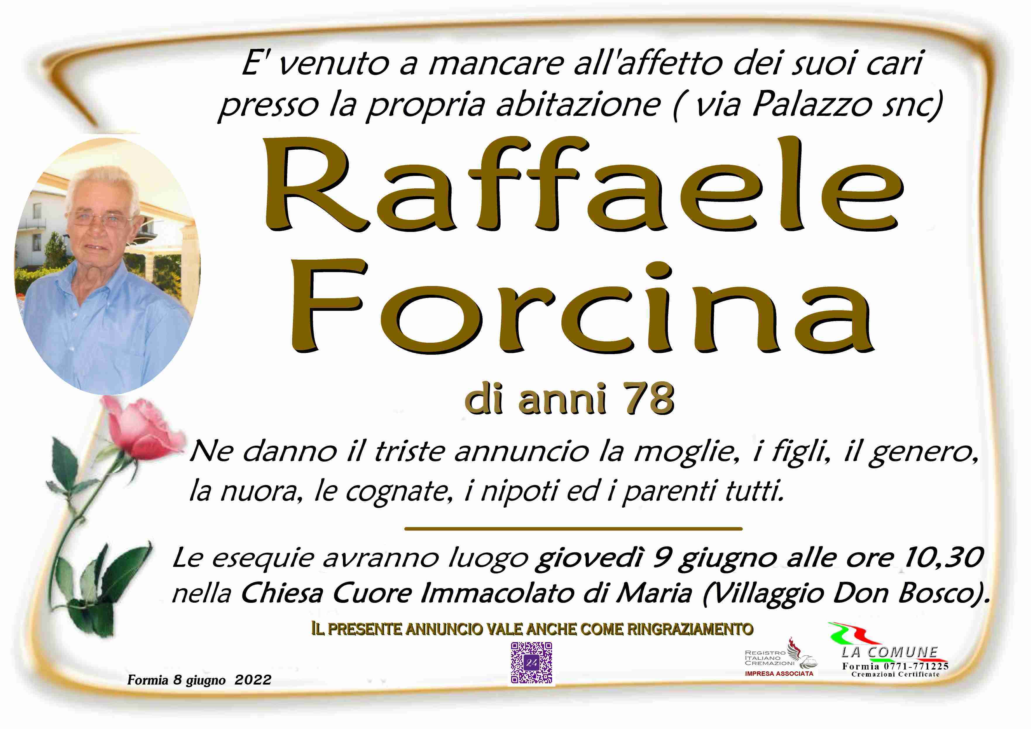 Raffaele Forcina