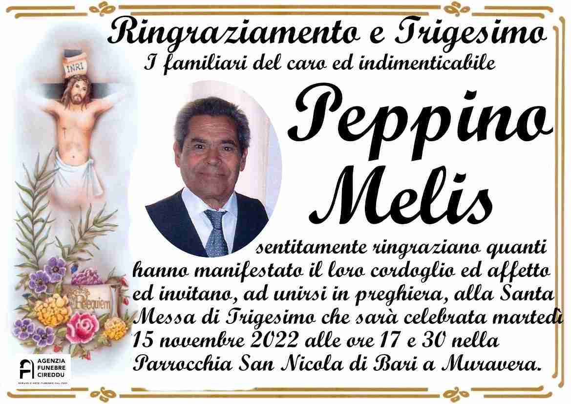 Peppino Melis