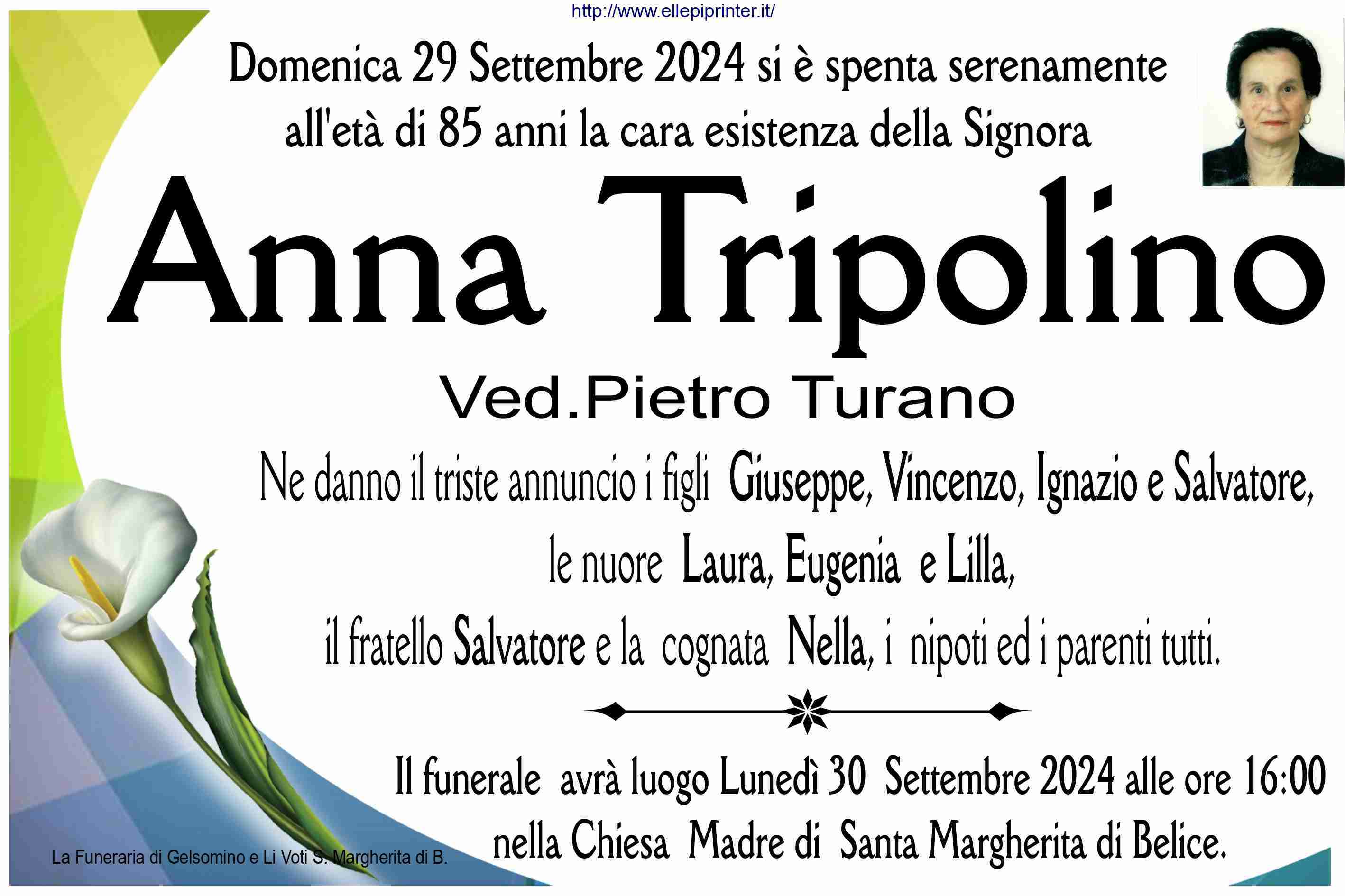 Anna Tripolino