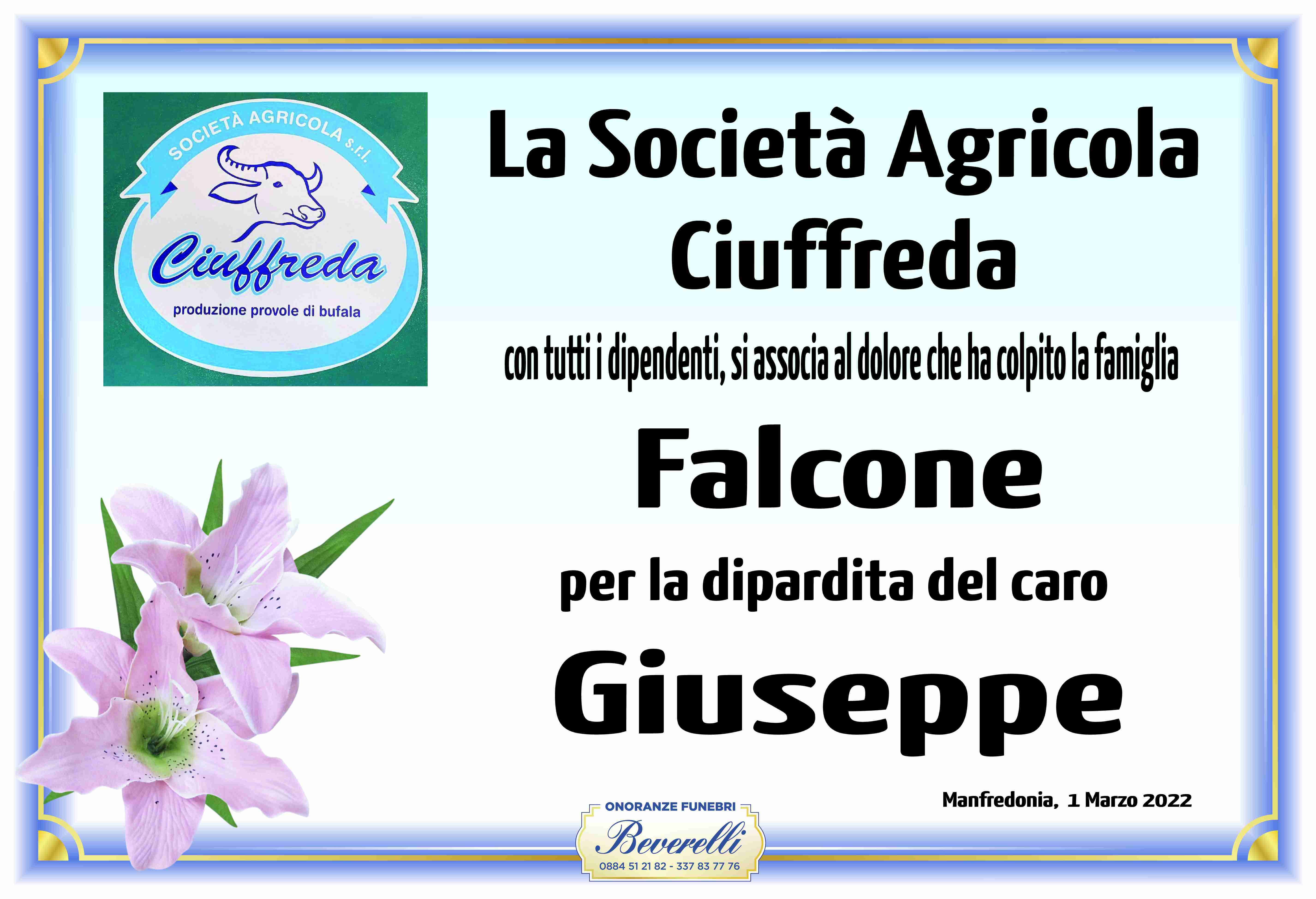 Giuseppe Falcone