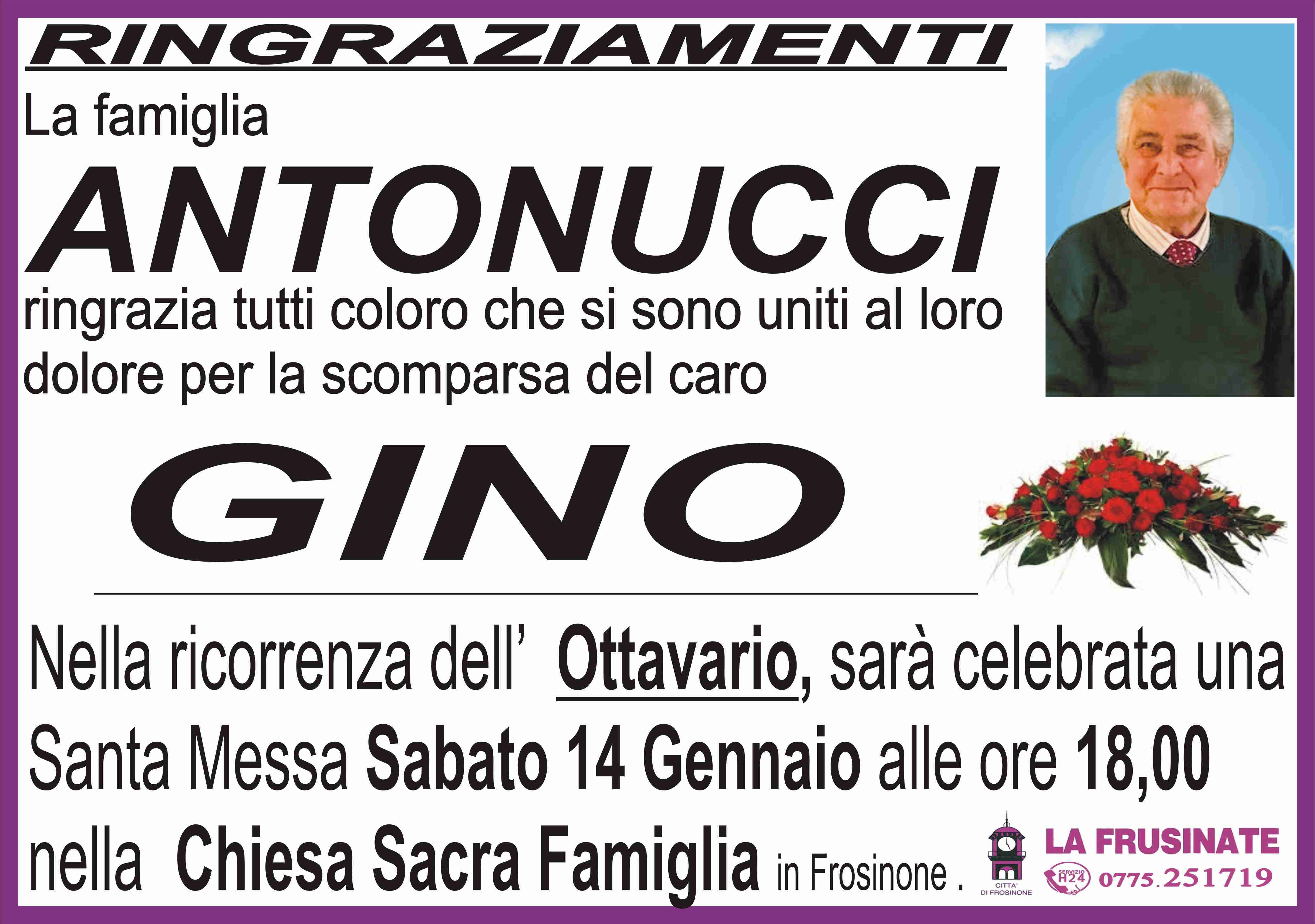 Gino Antonucci